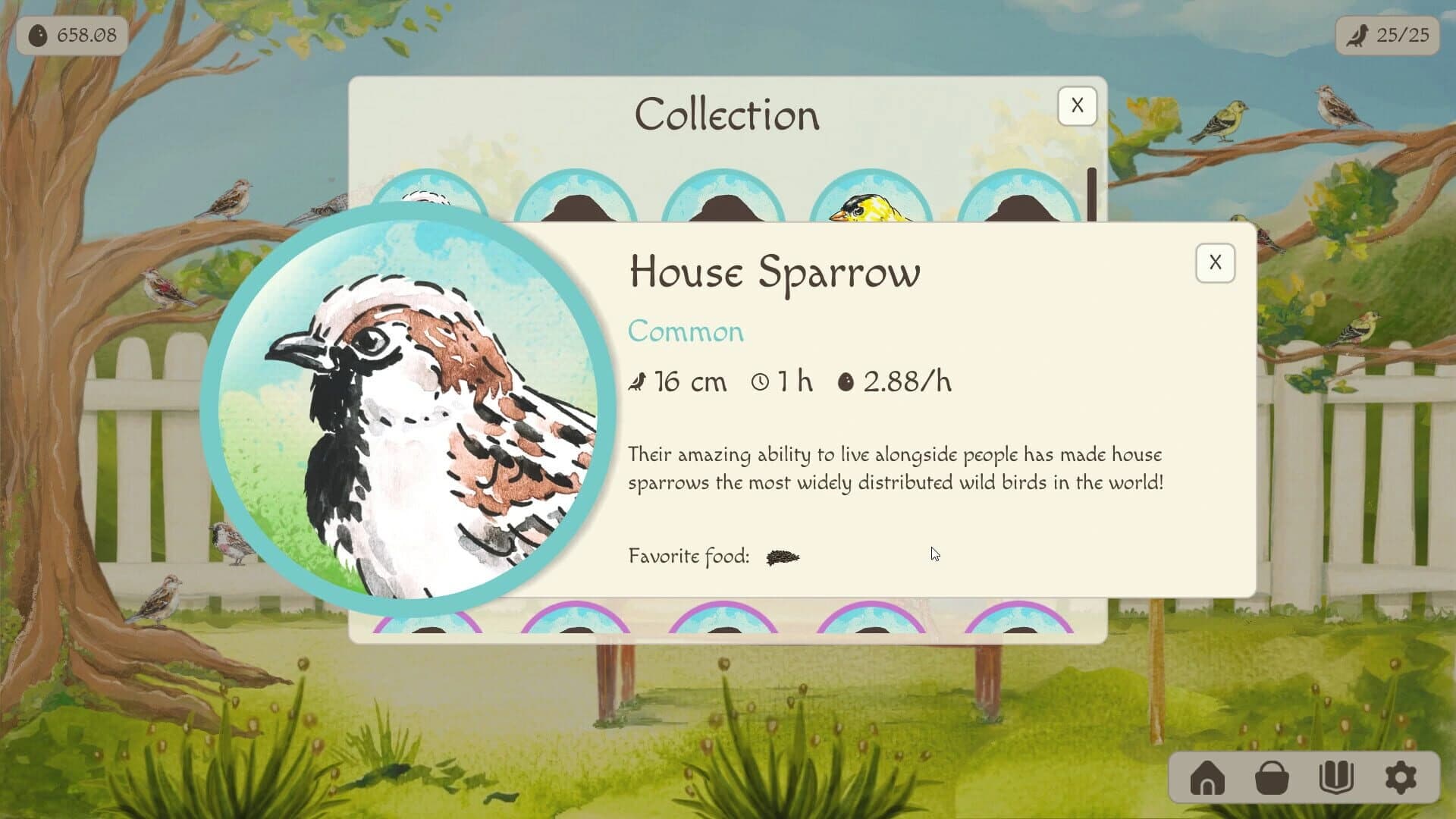 Birdfull screenshot 1