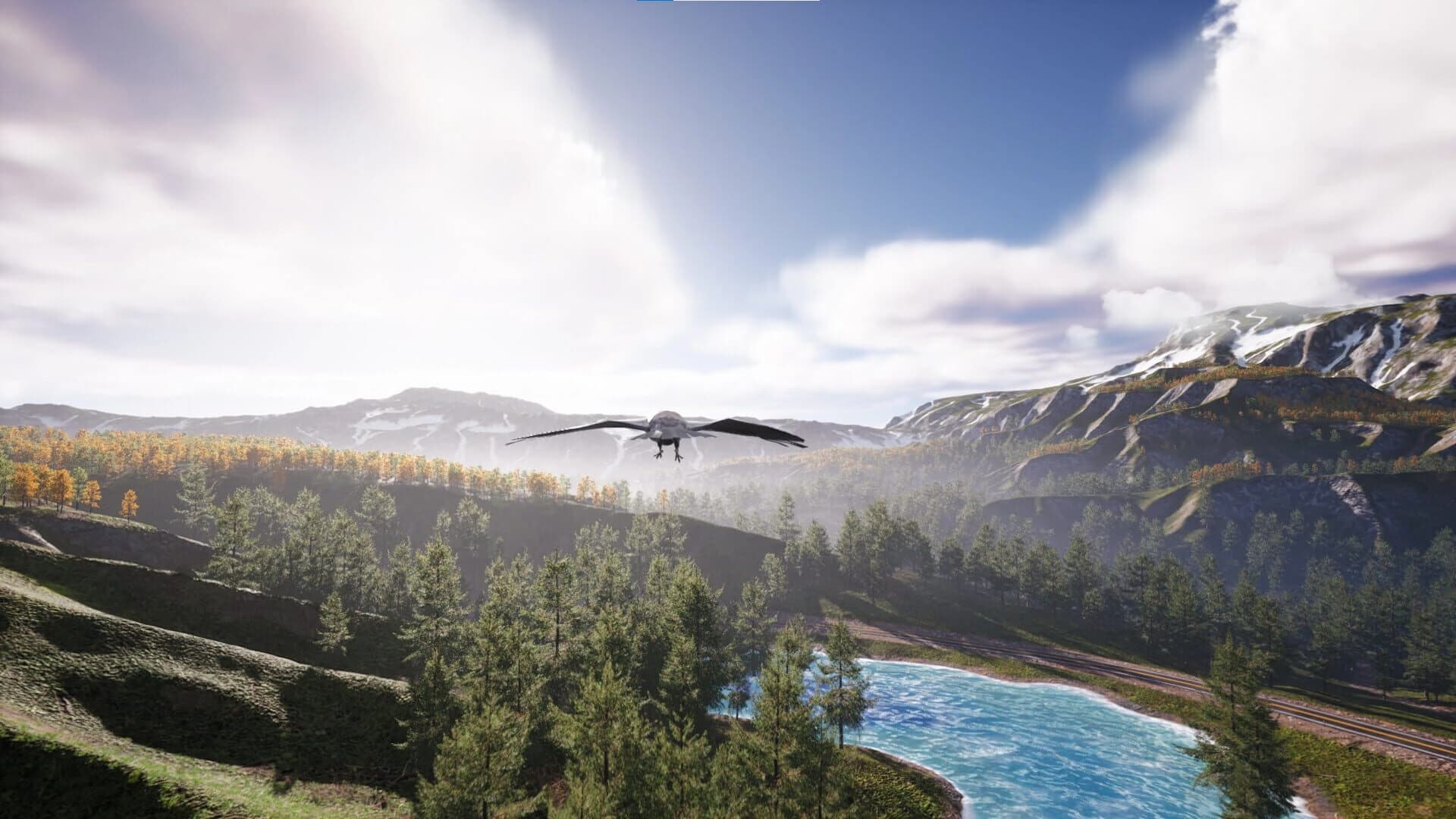 Bird's Eye Odyssey screenshot 2