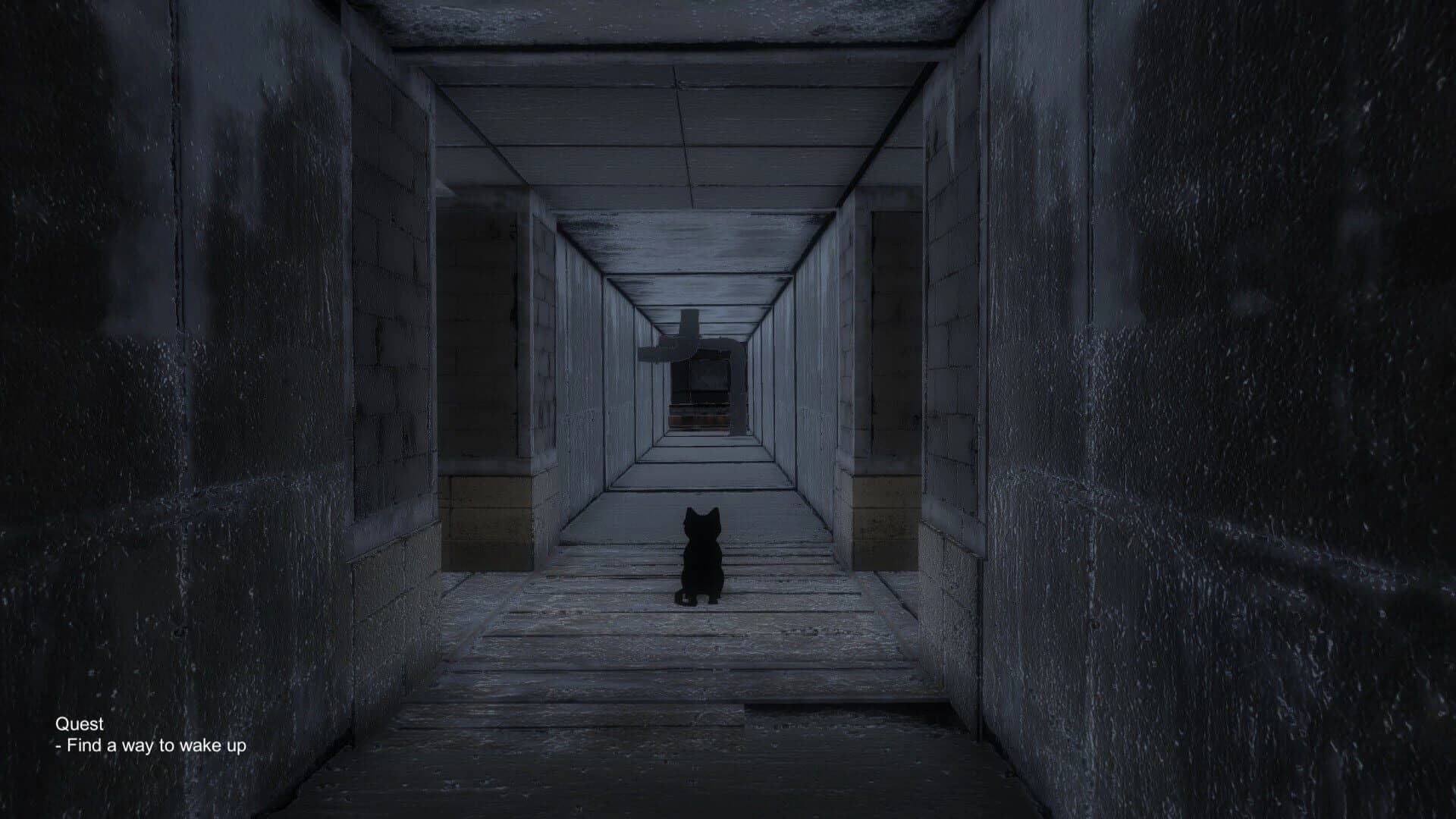 Black Cat screenshot 4