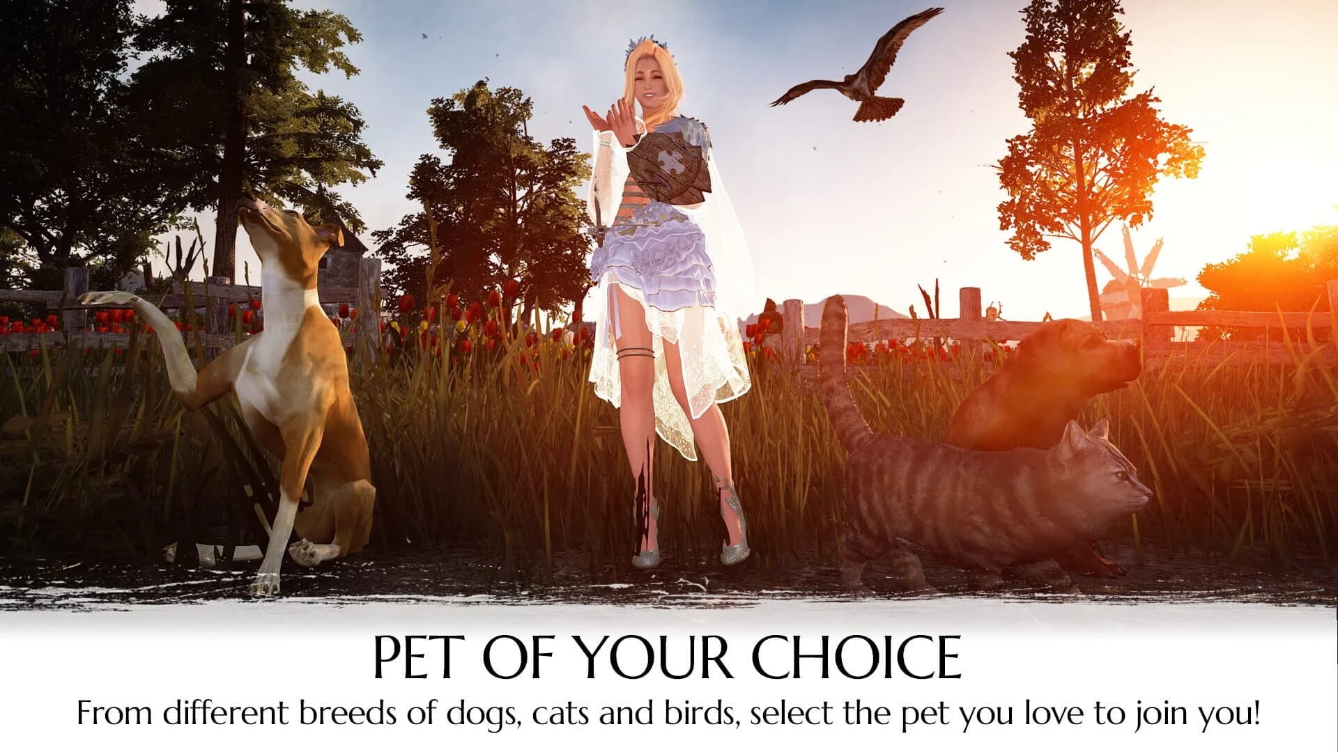 Black Desert Online: Traveler's Package screenshot 2