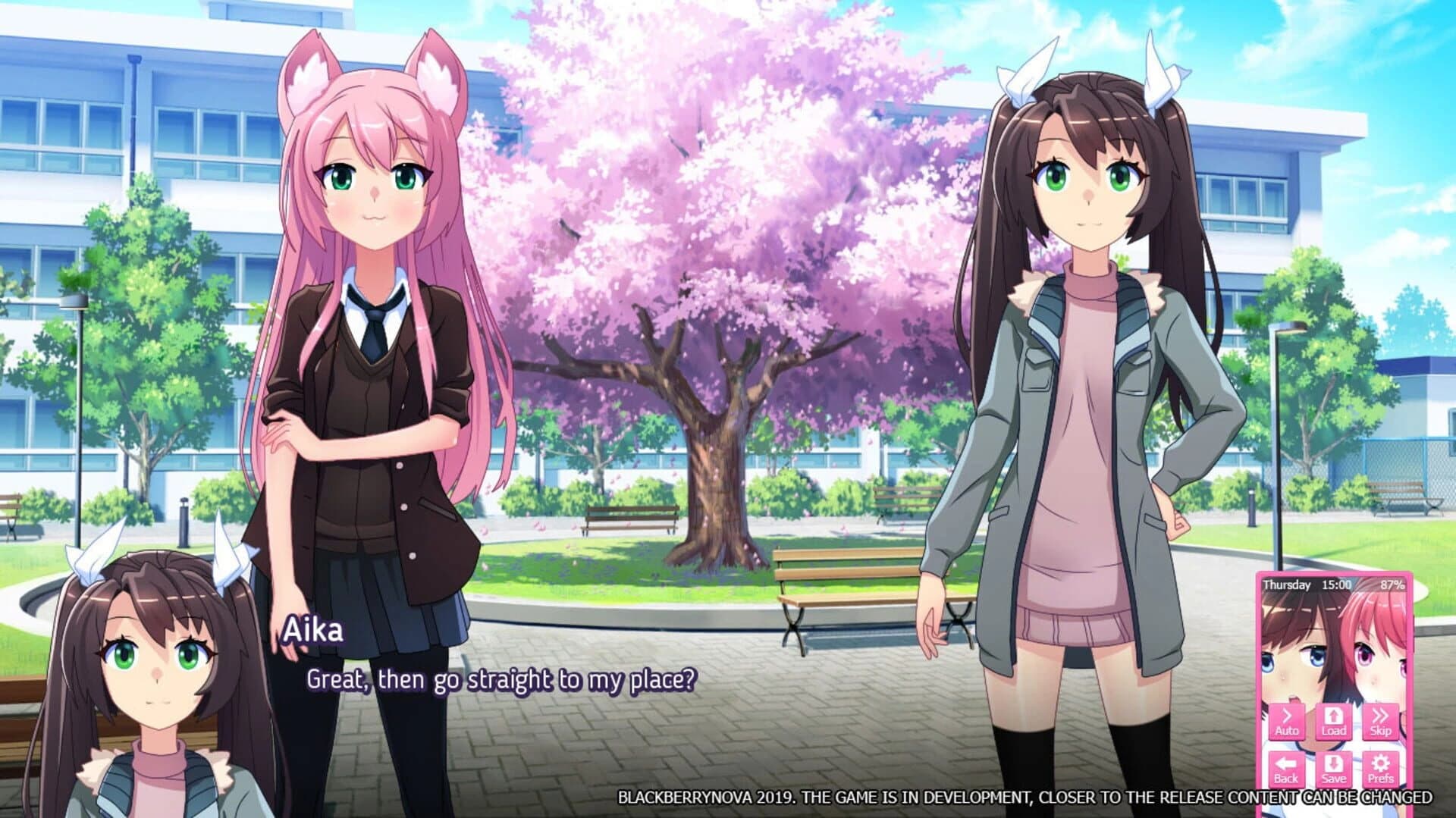 BlackberryNova screenshot 5