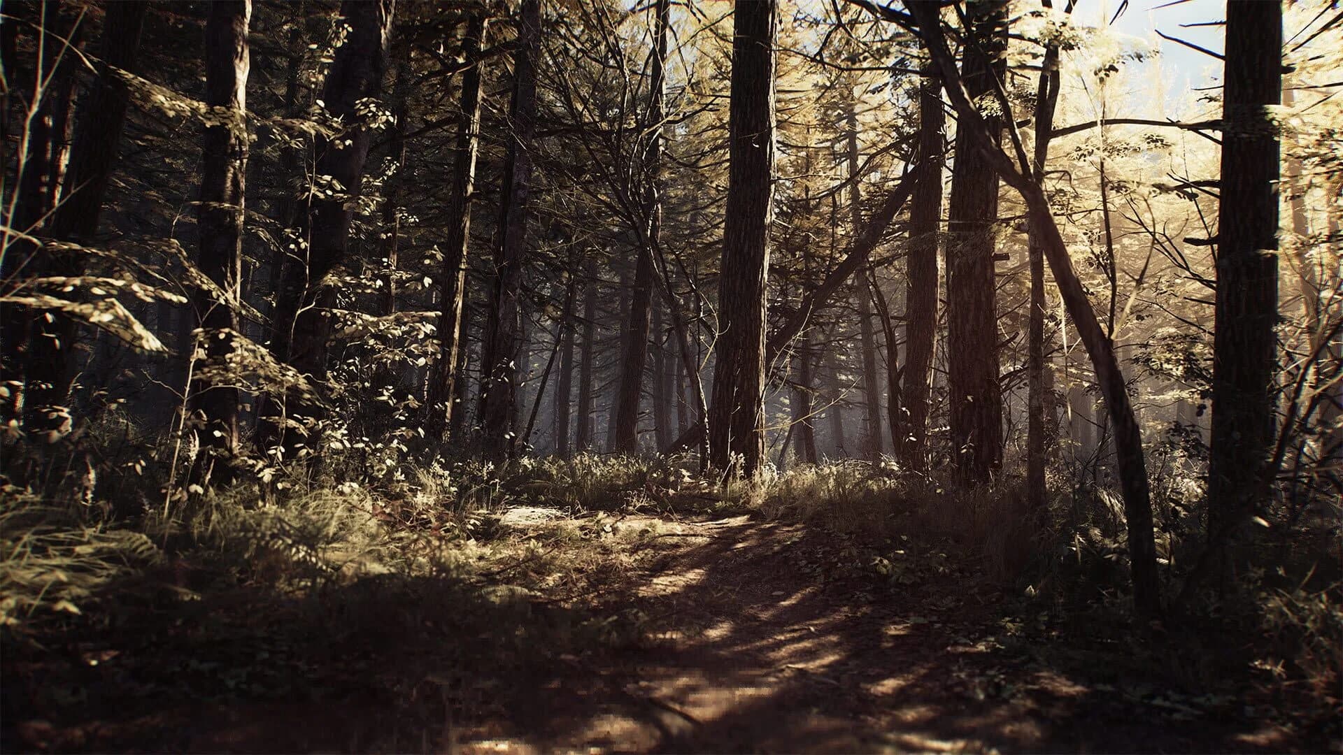 Blair Witch screenshot 1