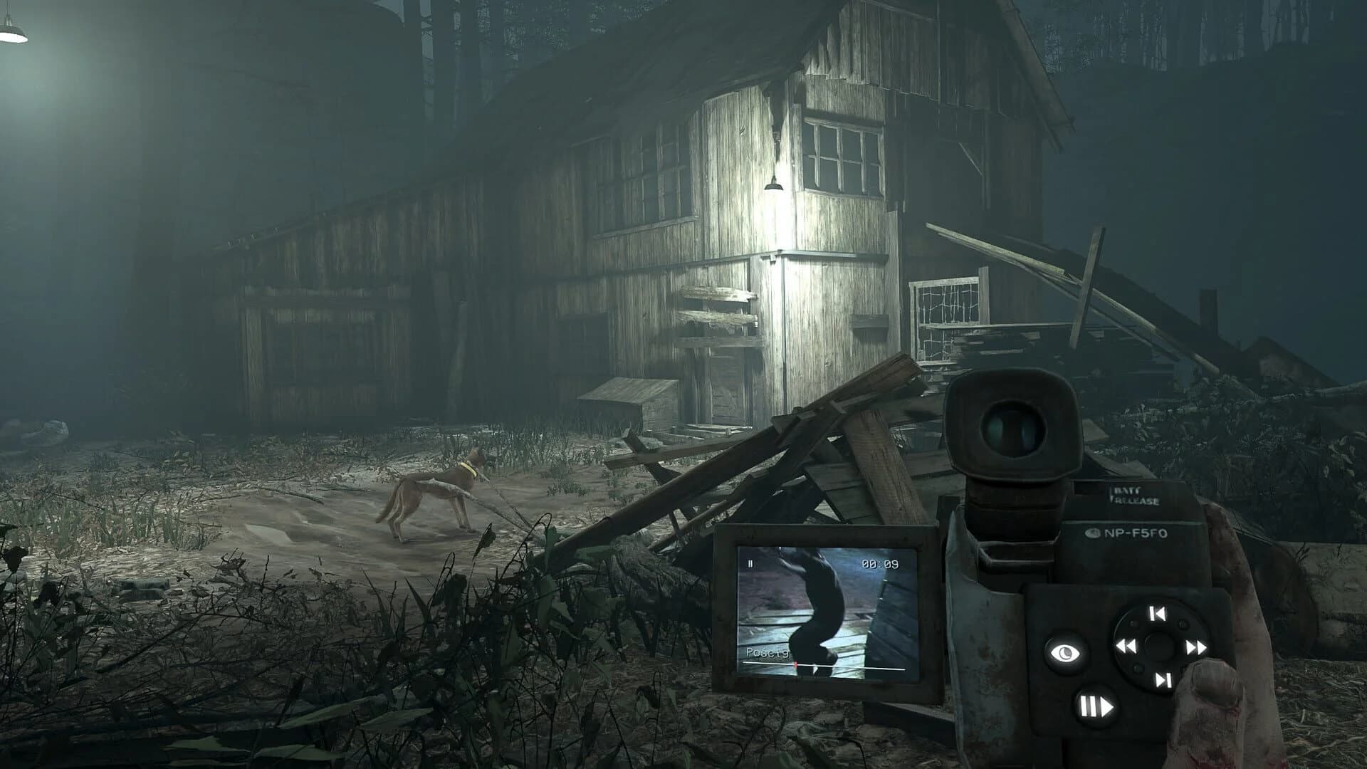 Blair Witch VR screenshot 2
