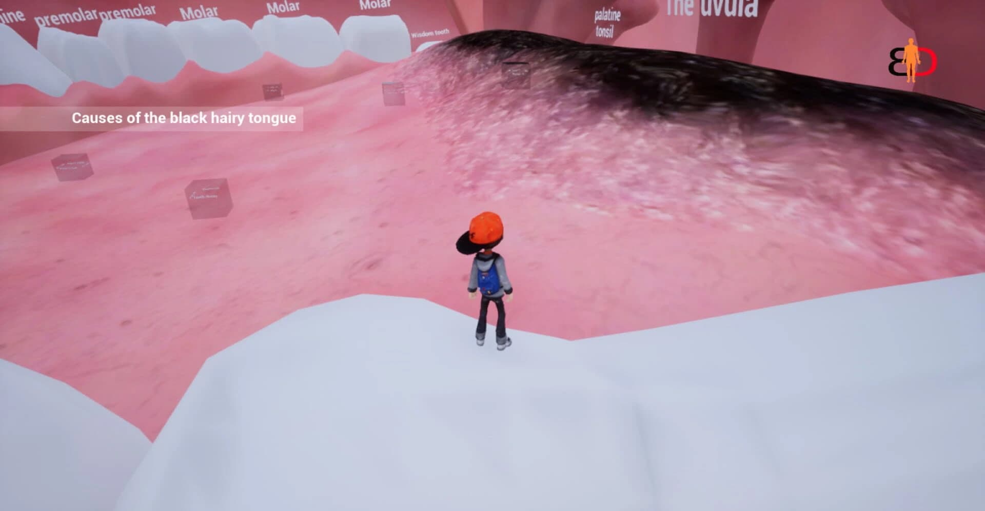 Body Discovery screenshot 2