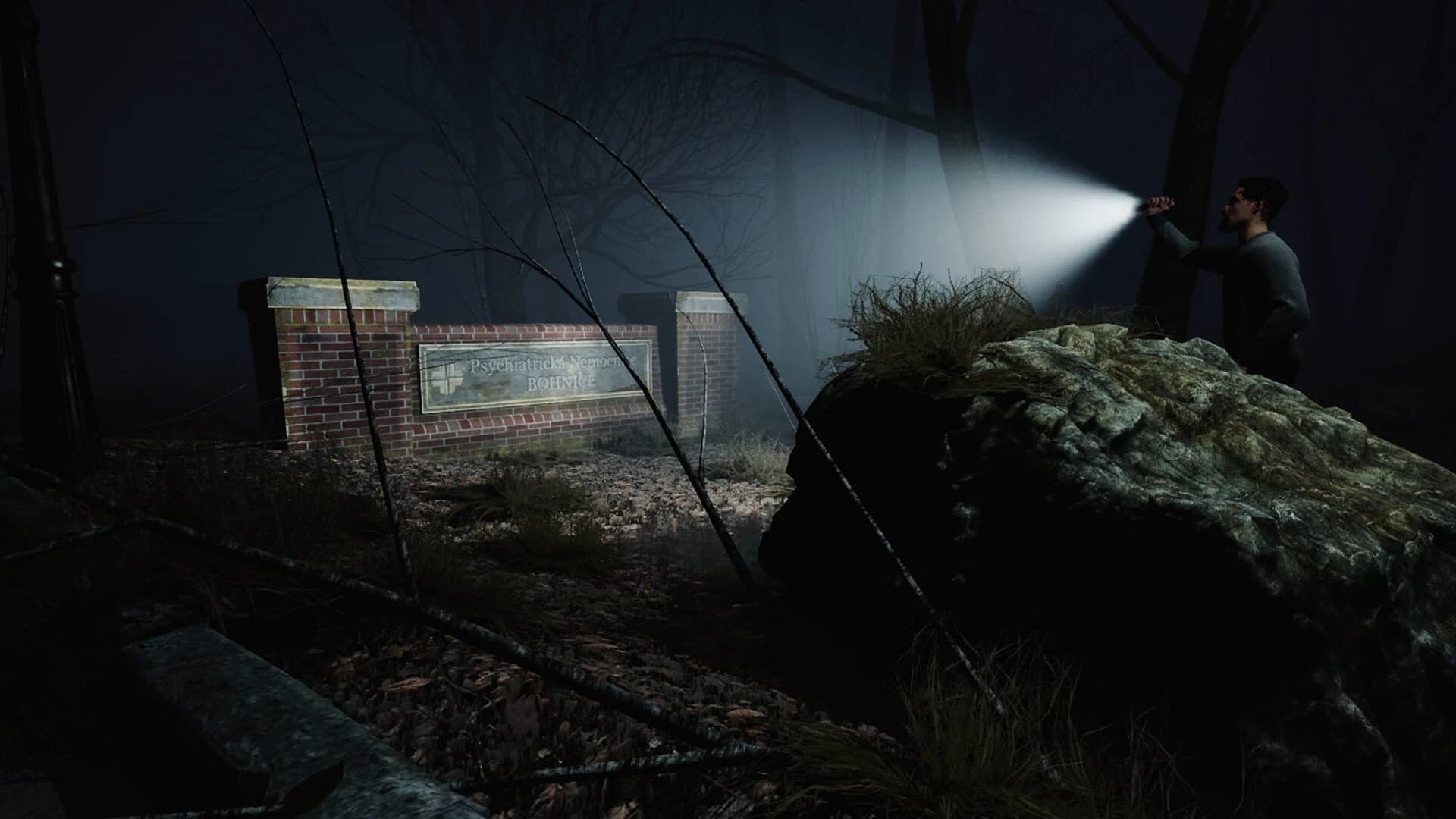 Bohnice: Within the Mind screenshot 1
