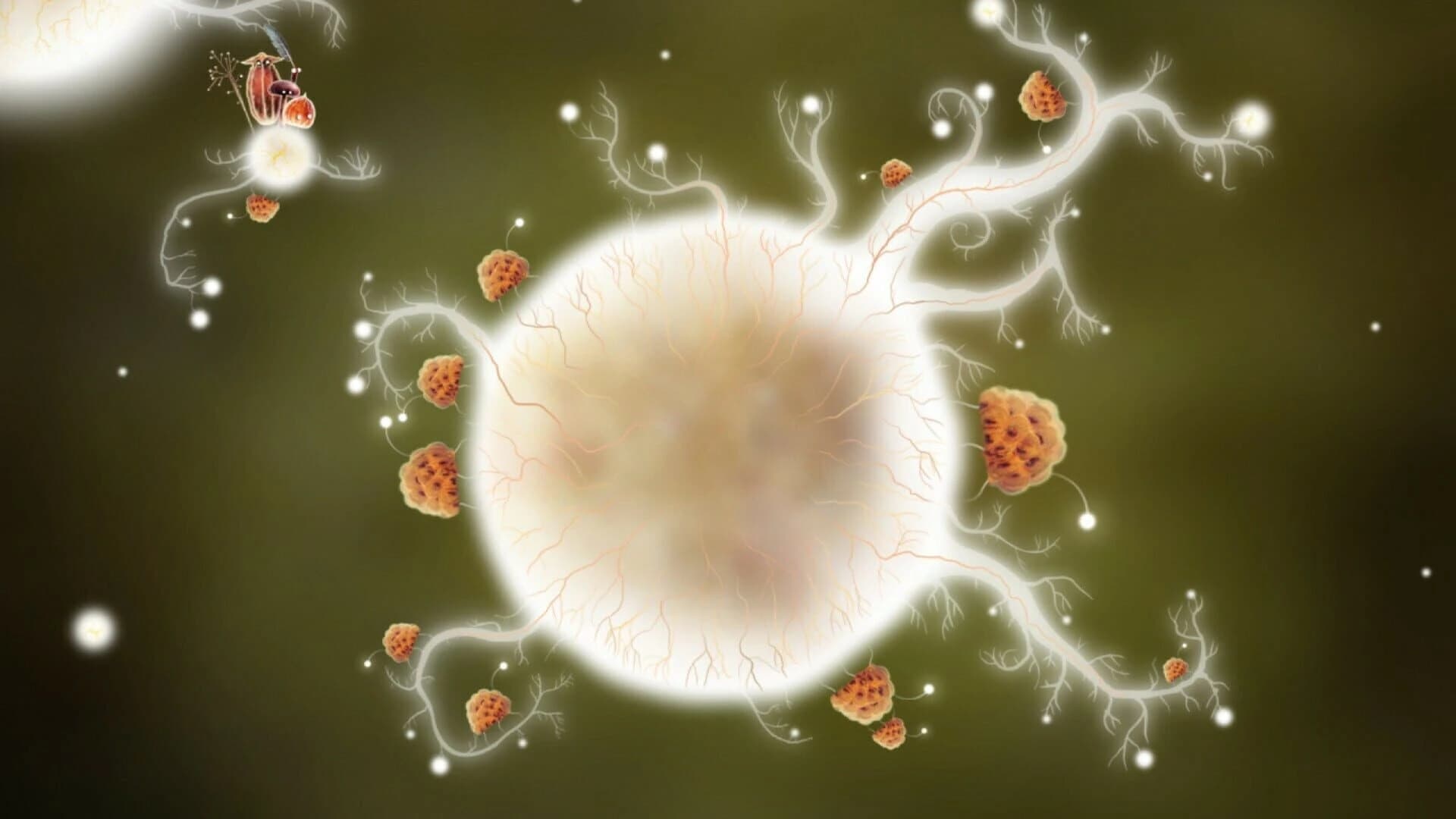 Botanicula: Collector's Edition screenshot 4