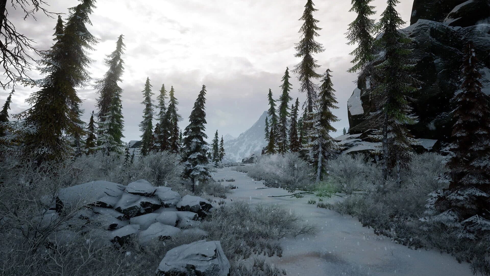 Bottle screenshot 1