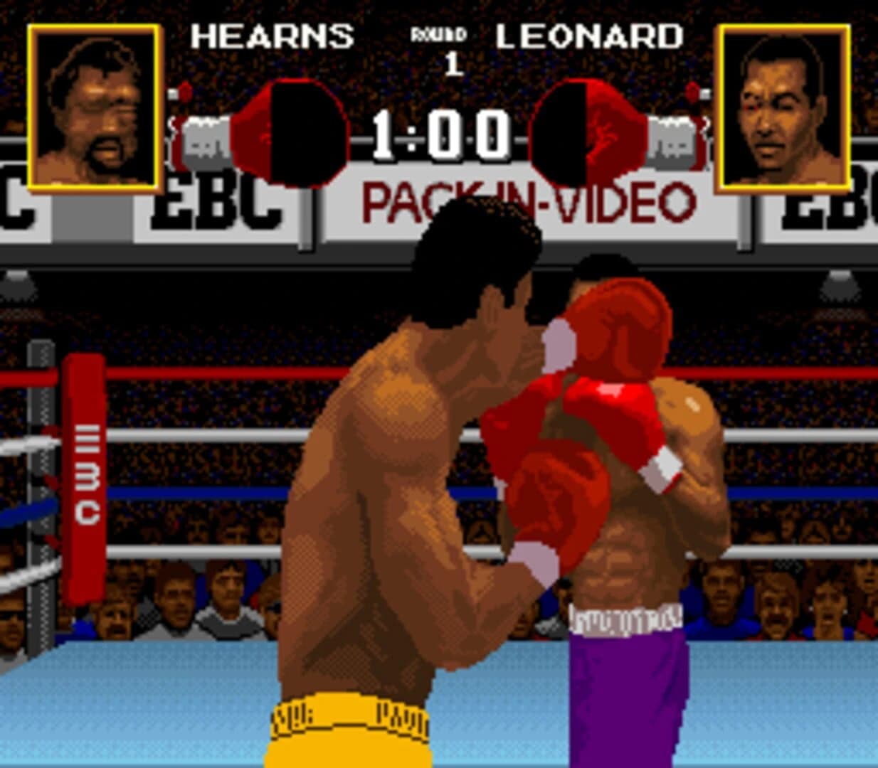 Boxing Legends of the Ring screenshot 3