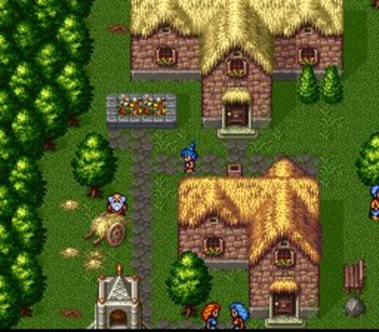 Breath of Fire II screenshot 5