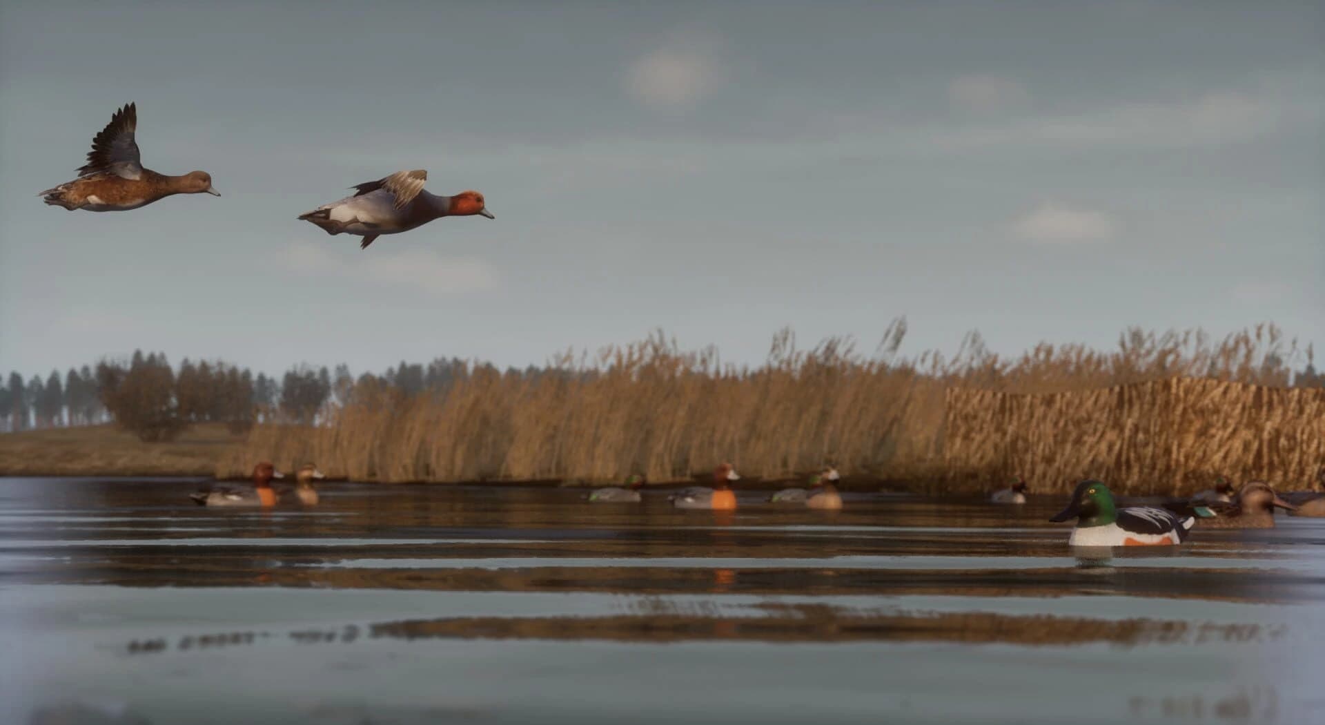 Bult: Hunting Simulator screenshot 1