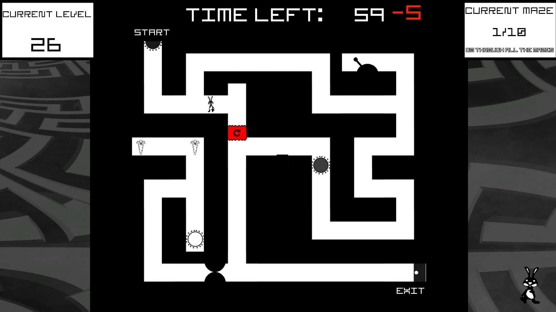 Bunny Mazes screenshot 2