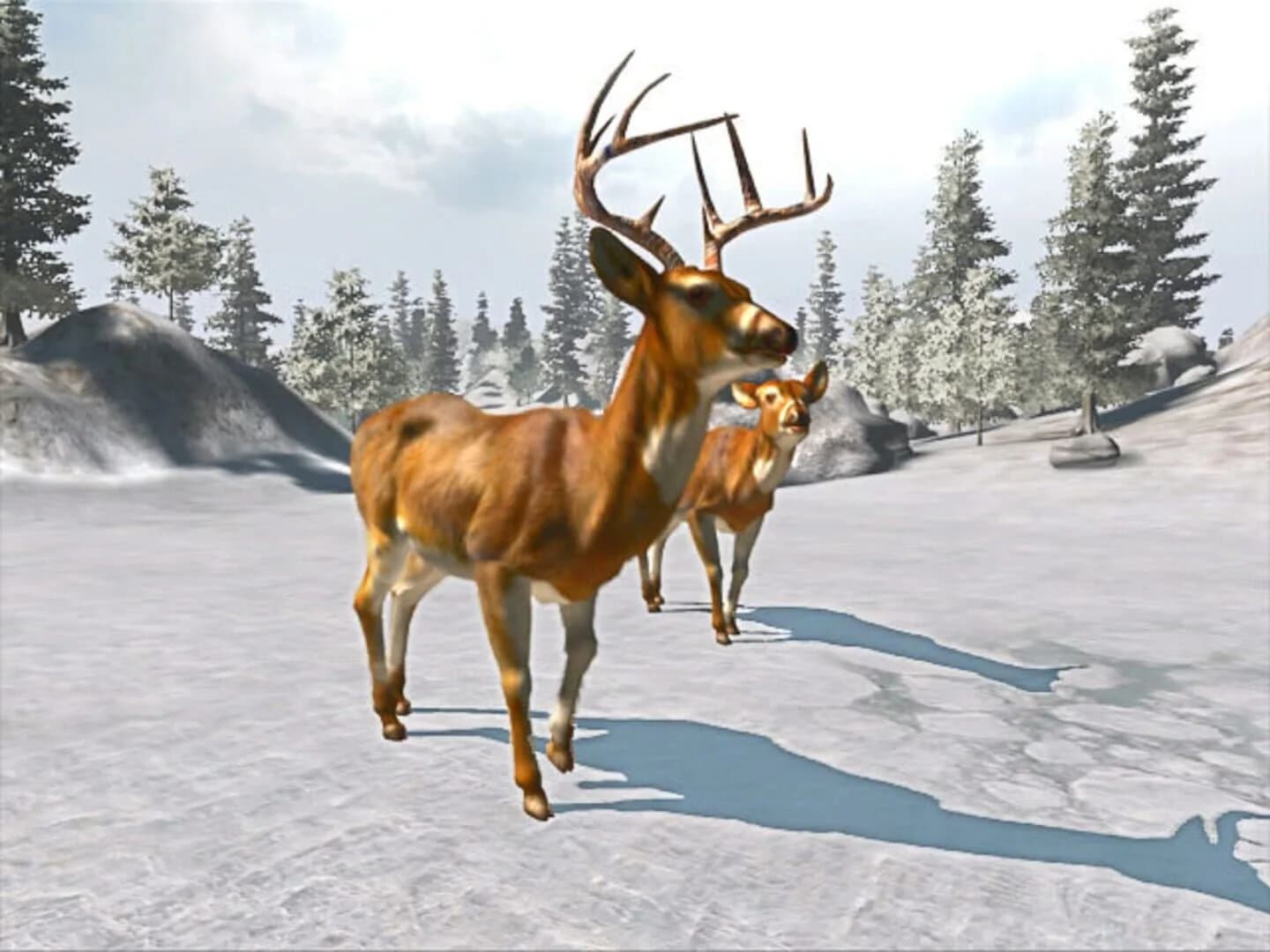 Cabela's Trophy Bucks screenshot 1