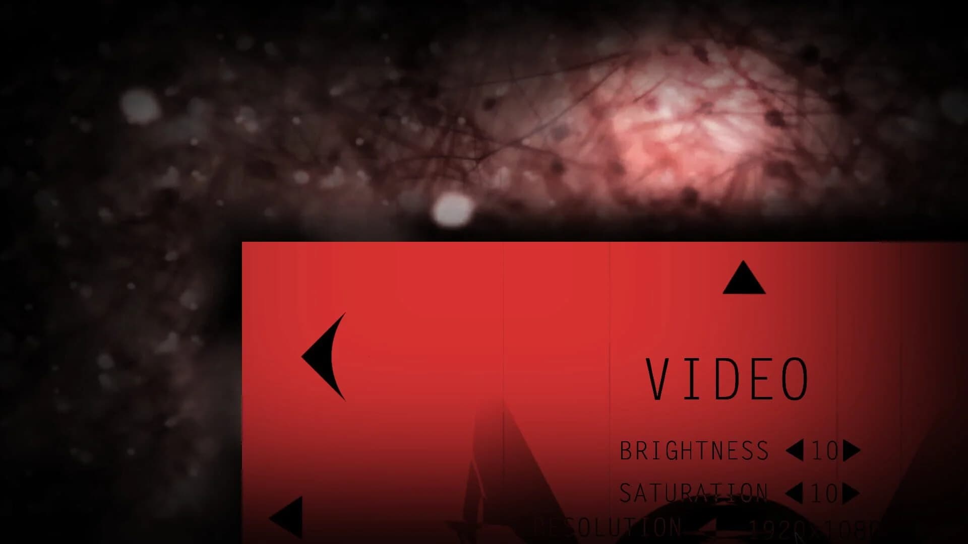 Calendula screenshot 3