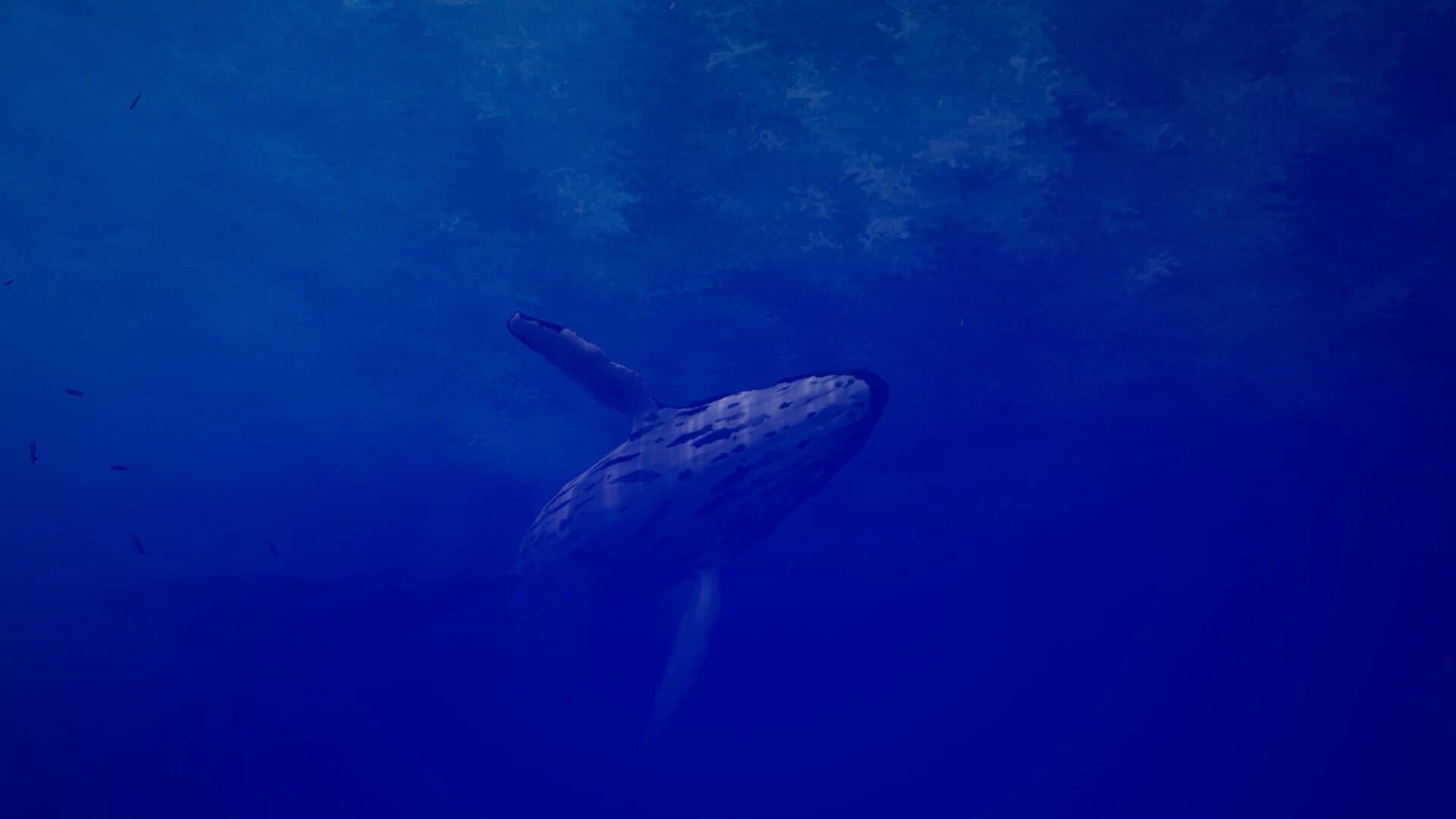 Call of the Ocean screenshot 3