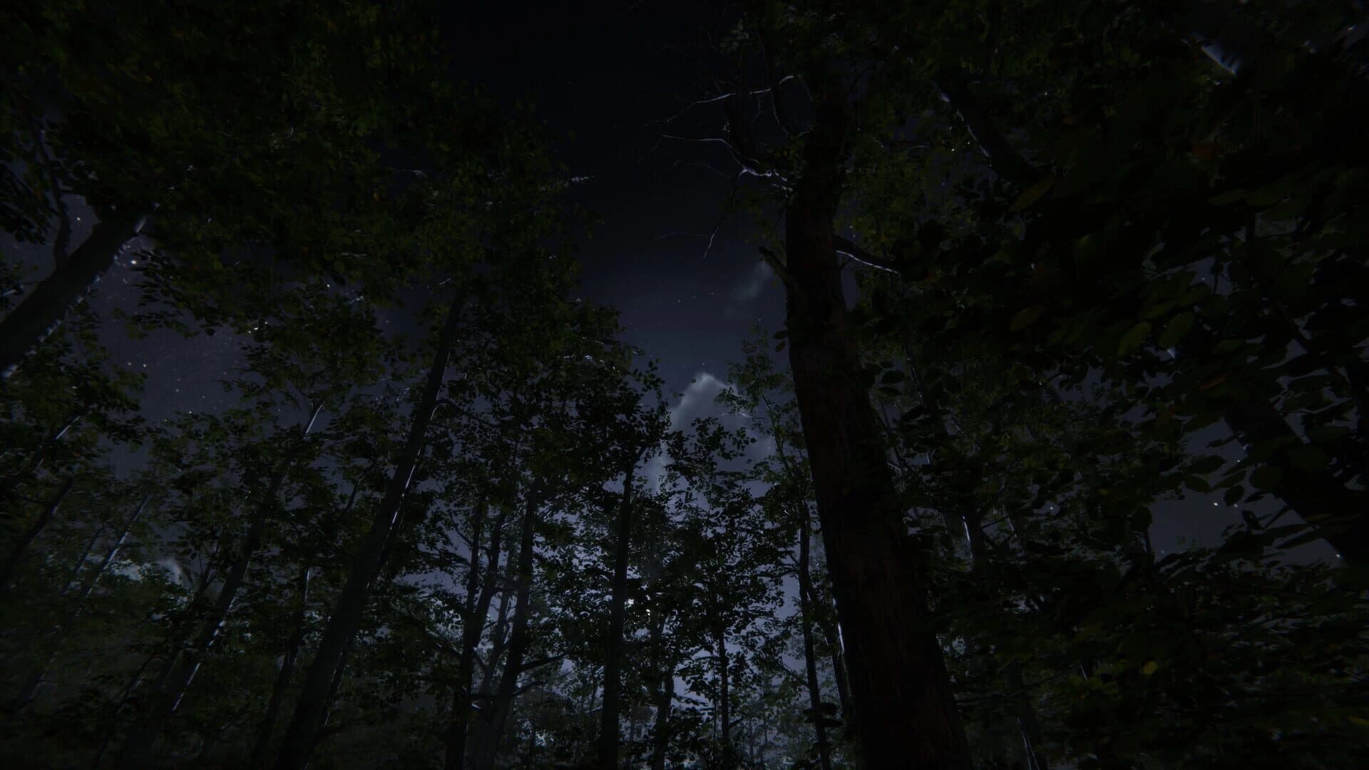 Camping Vlog Simulator 2024 screenshot 5