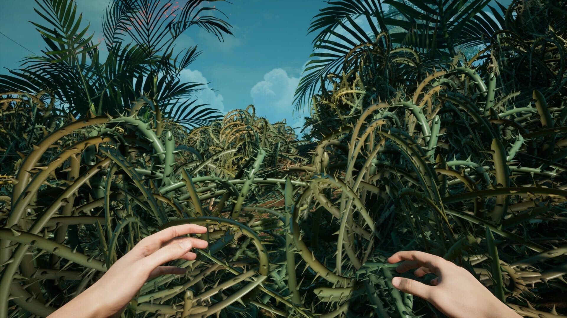 Canopy screenshot 5