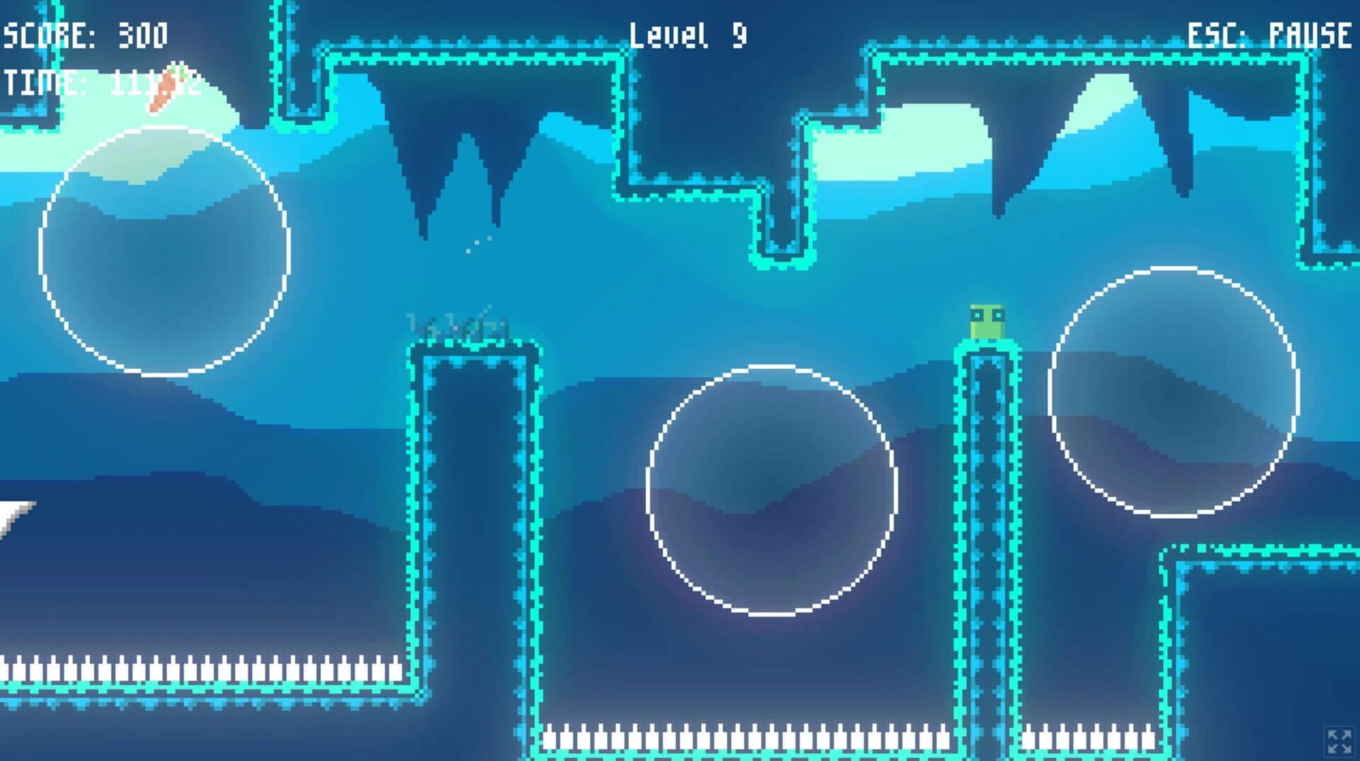 Carrot Catcher screenshot 3