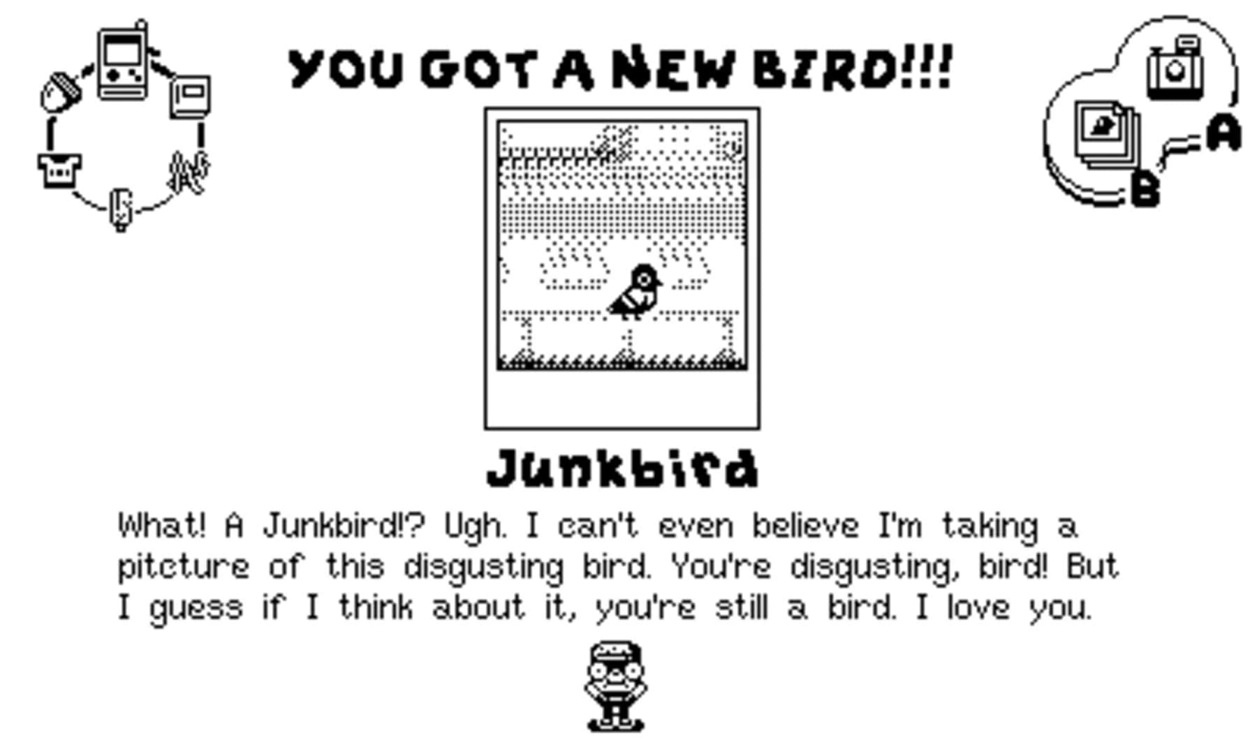Casual Birder screenshot 2