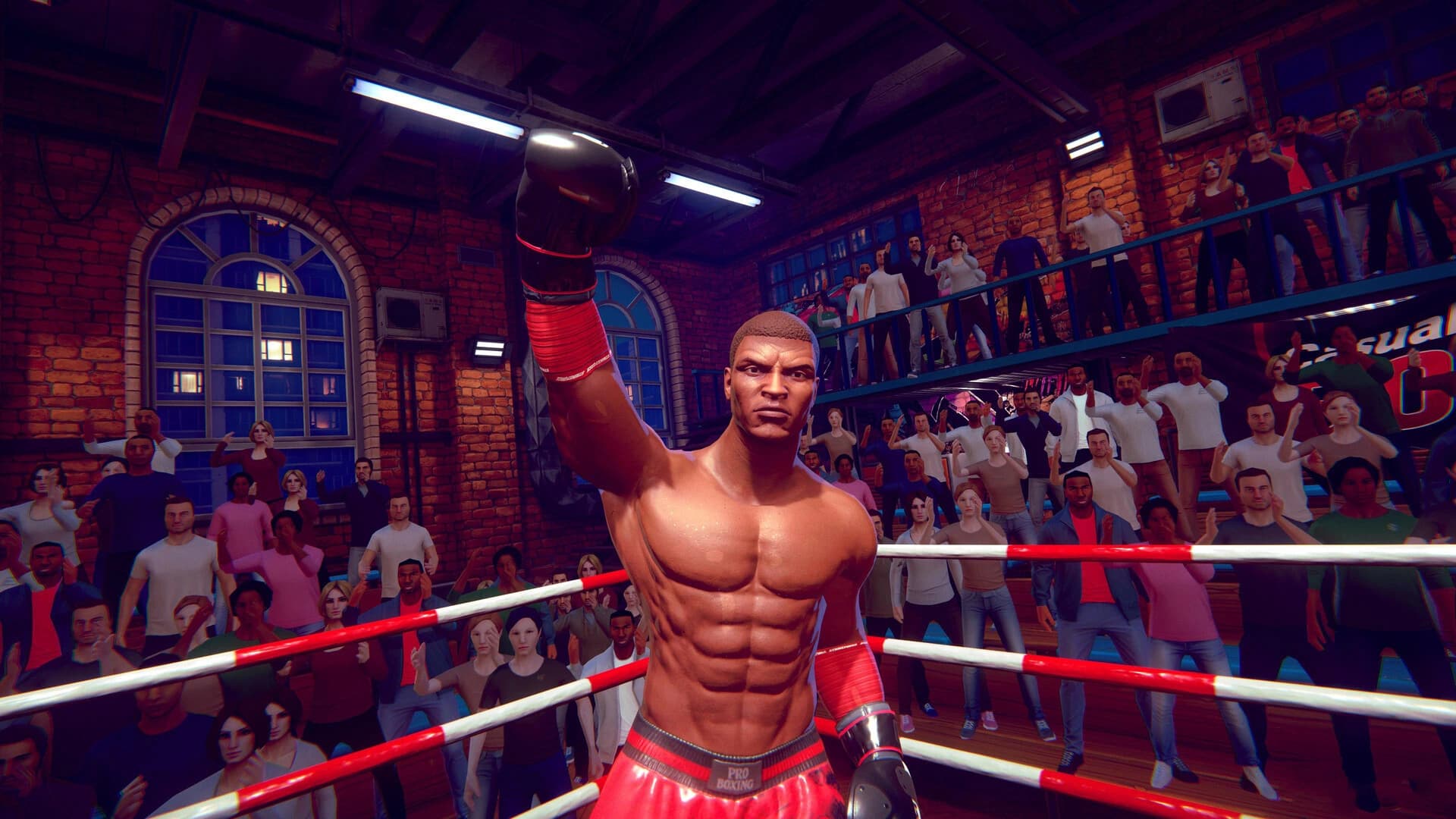 Casual Sport Series: Boxing screenshot 3