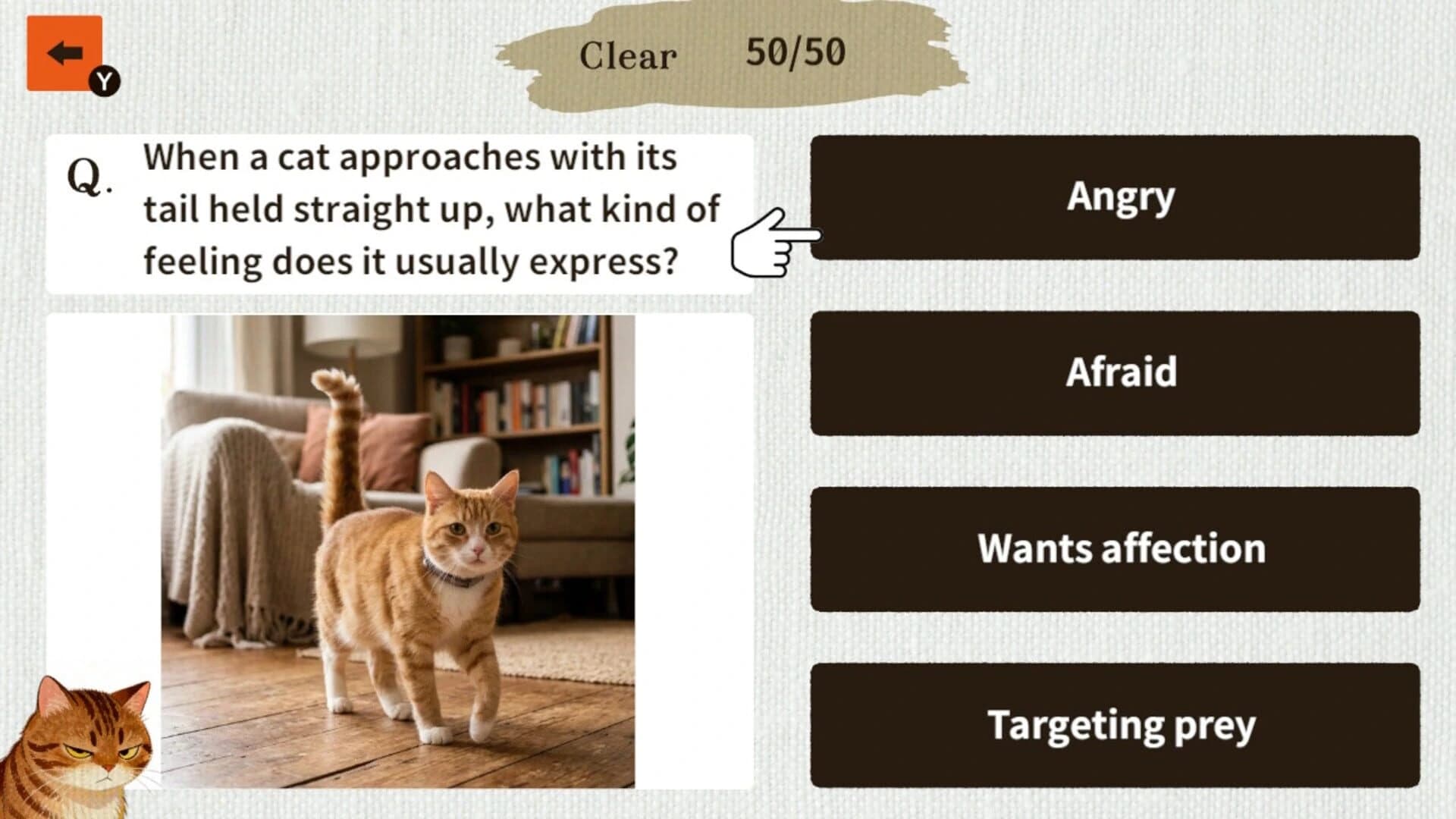 Cat Doctor: For Loyal Servants screenshot 3