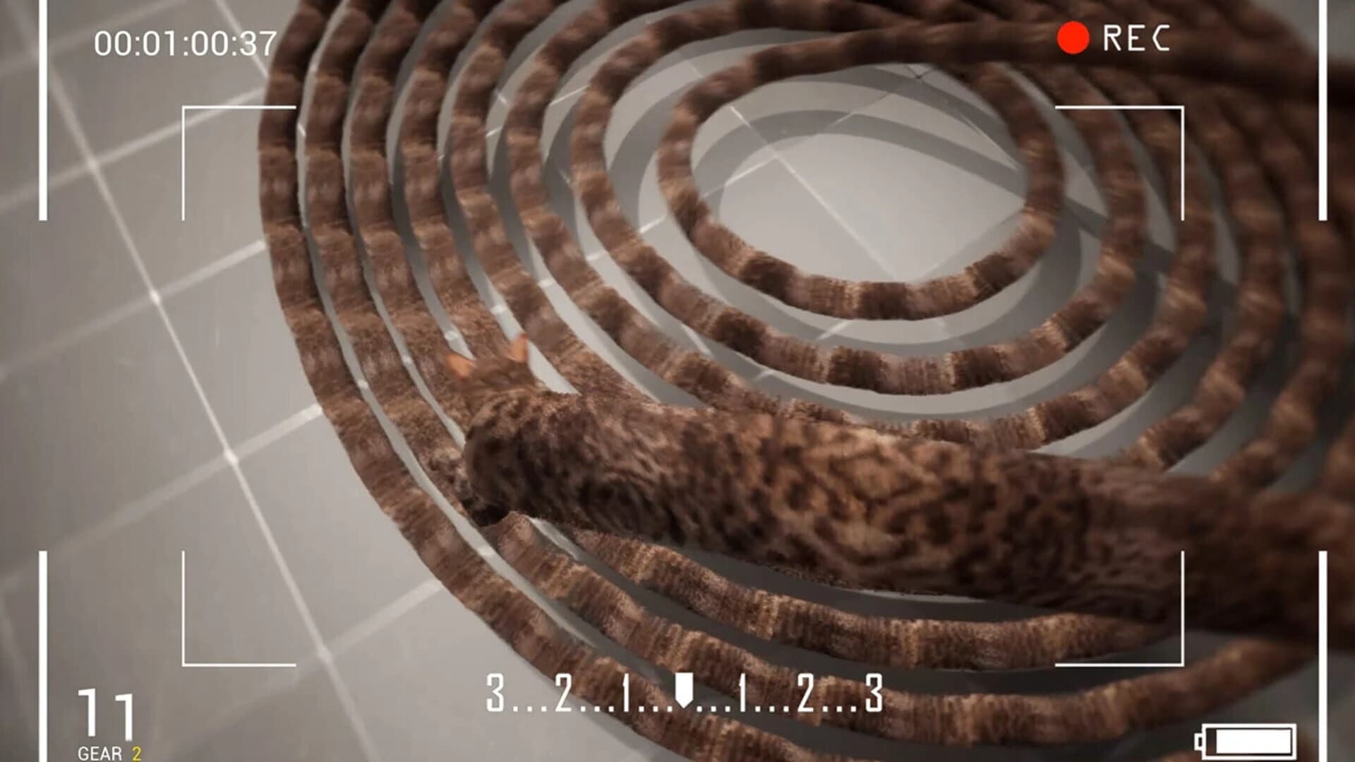 Cat Drift screenshot 5