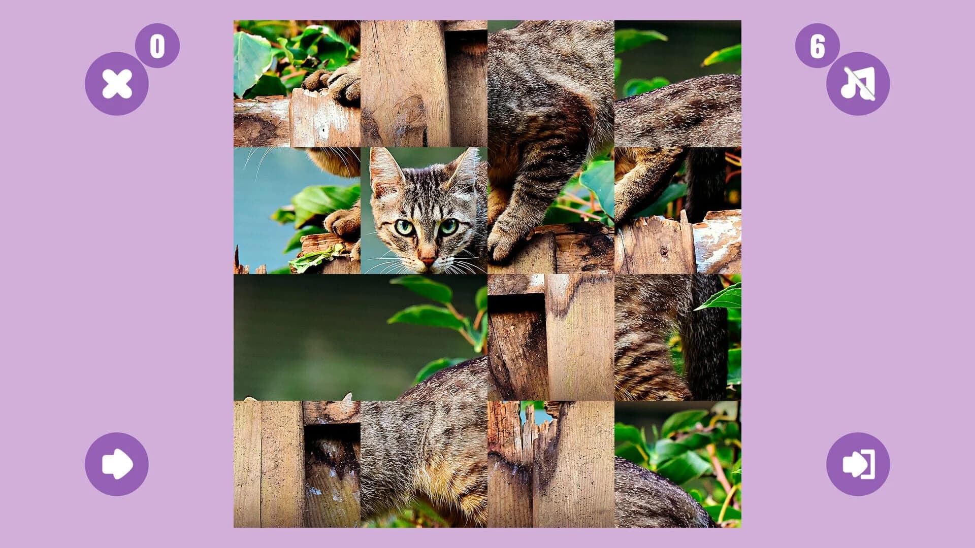 Cat Game screenshot 4