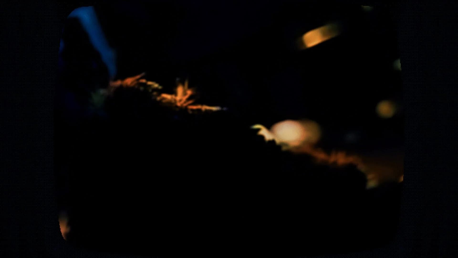 Cat Got Your Tongue screenshot 3