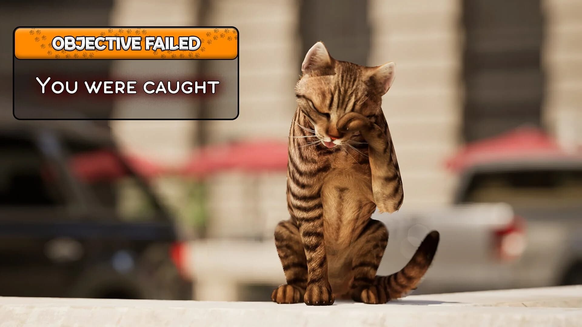 Cat Life Simulator screenshot 2