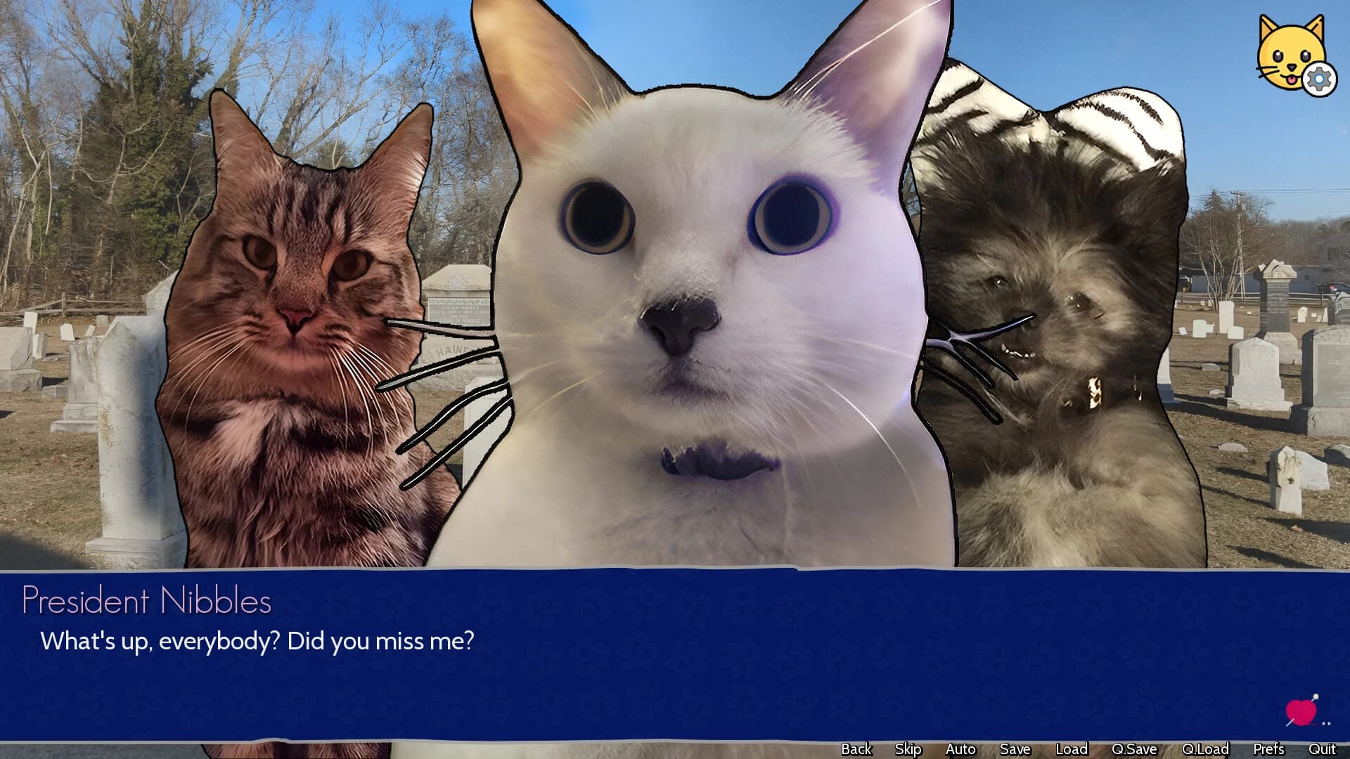 Cat President: 3rd-Rate Candidate screenshot 6