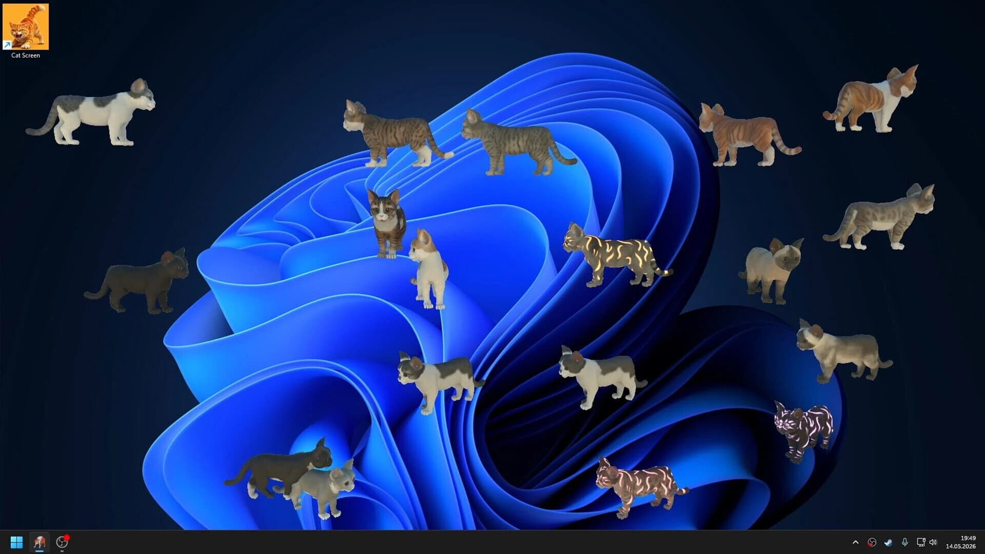 Cat Screen screenshot 2