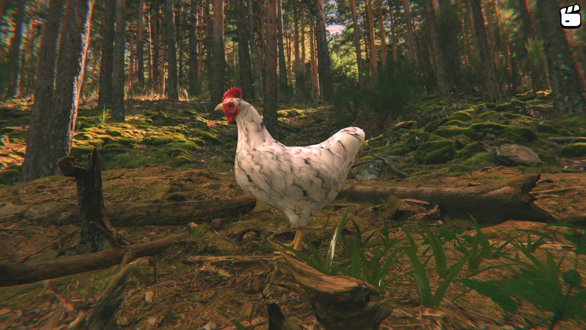 Catch the Chiken screenshot 8