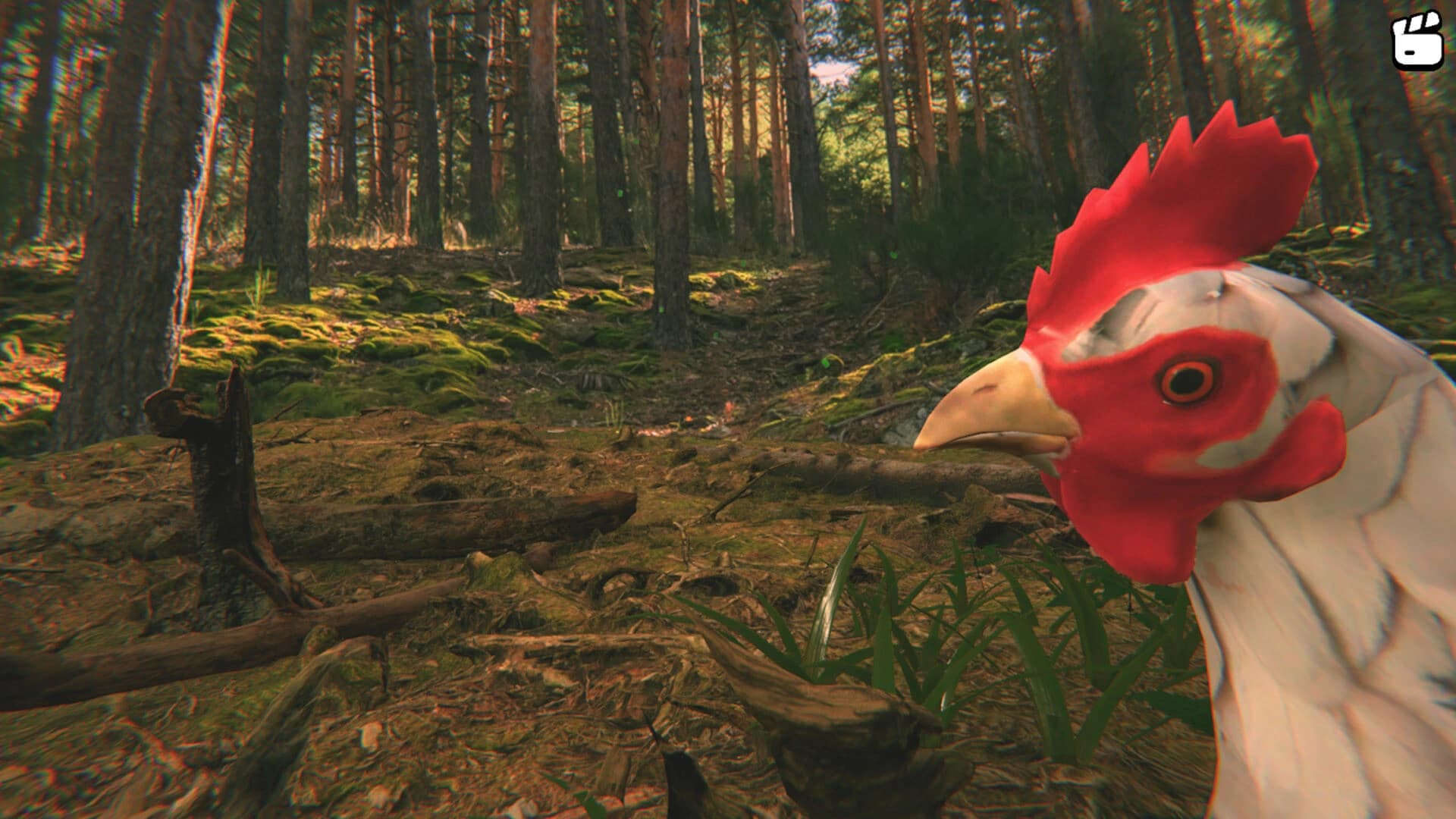 Catch the Chiken screenshot 4