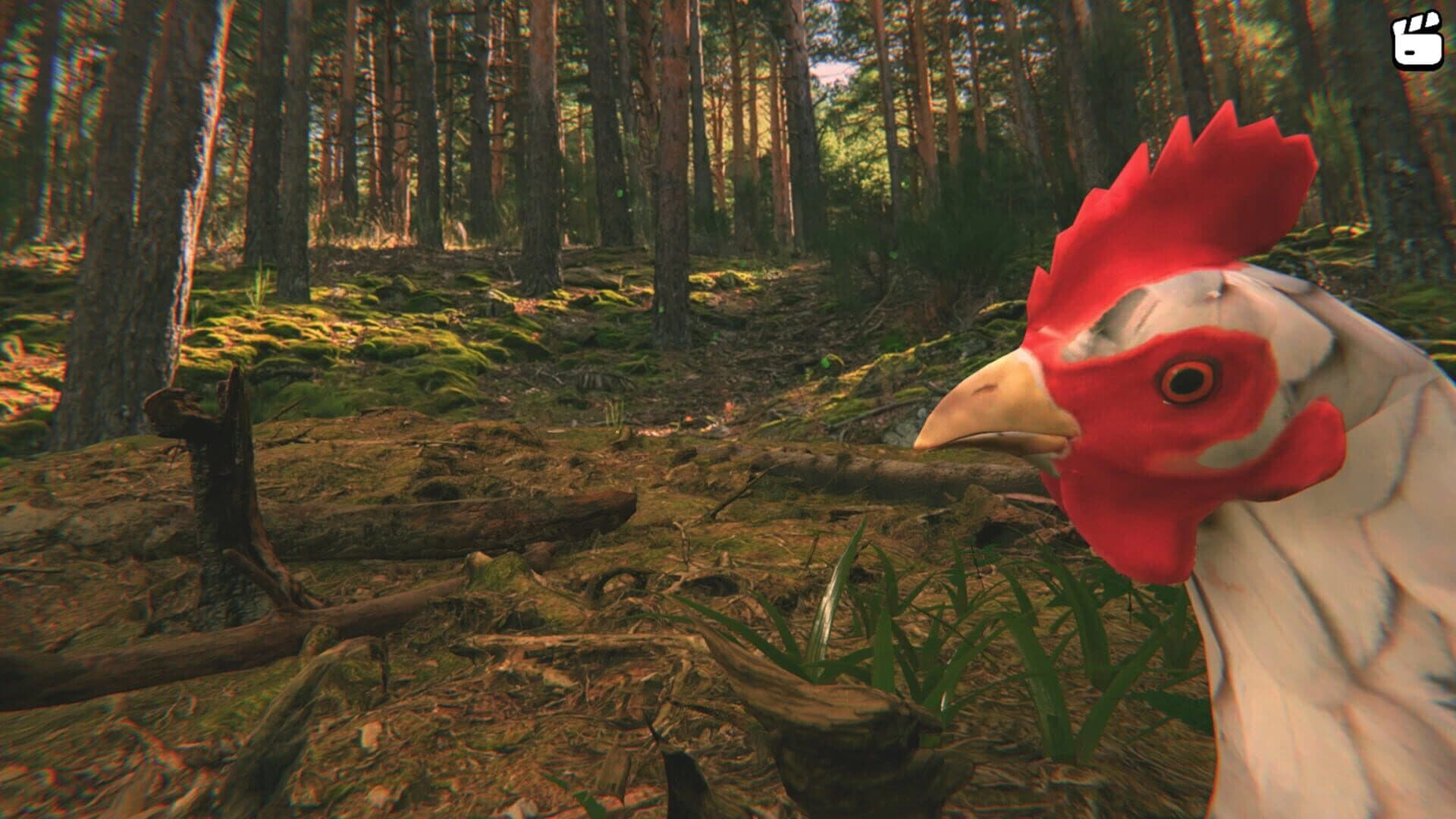 Catch the Chiken screenshot 1