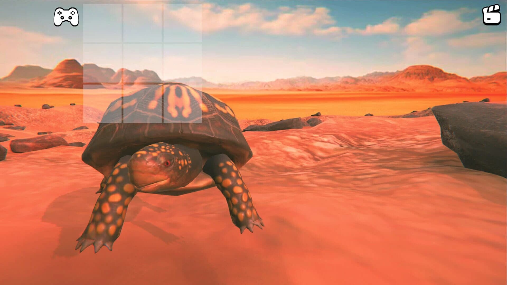 Catch the Turtle screenshot 4