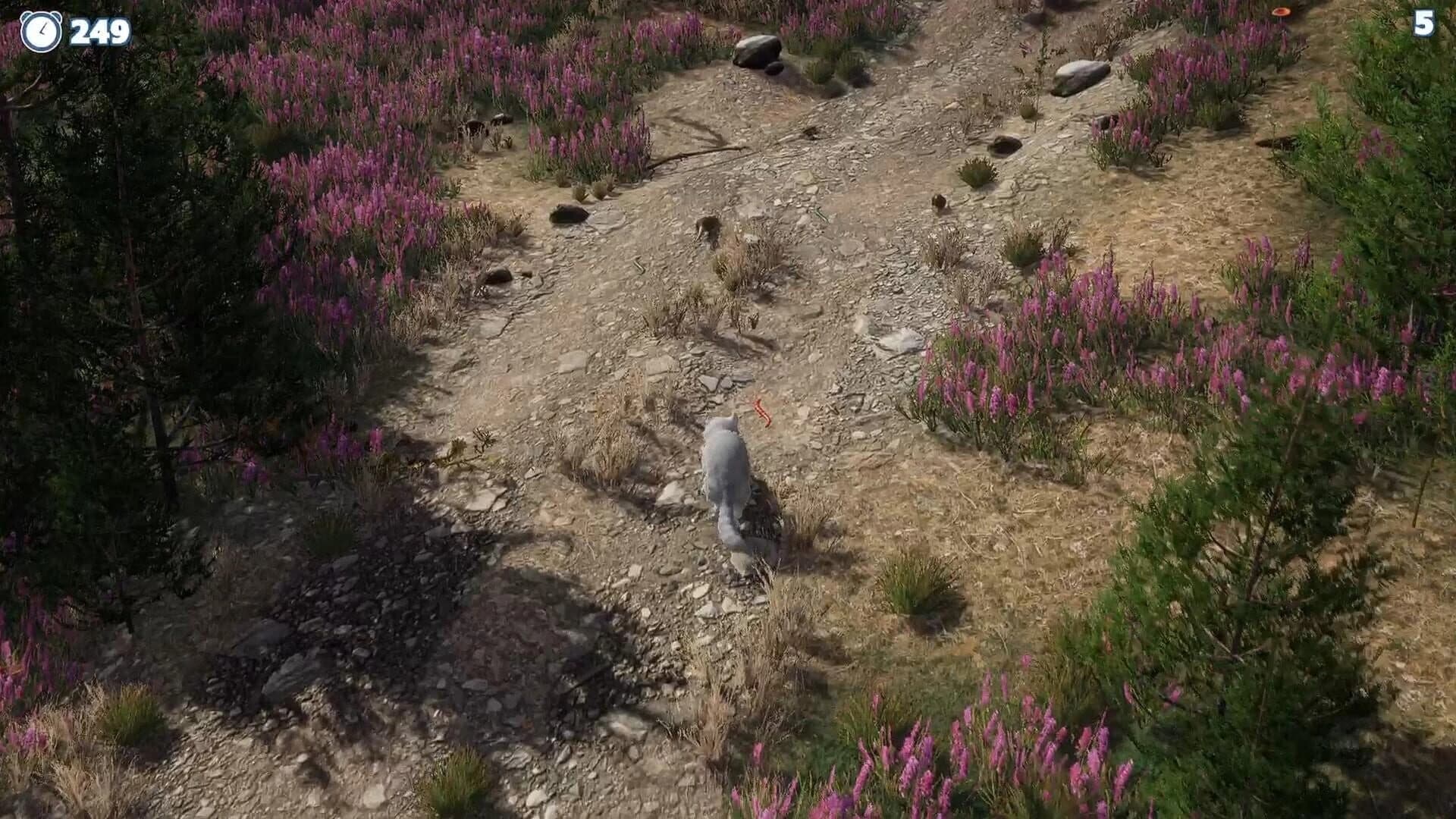 Cazzarion: Raccoon Valley screenshot 5