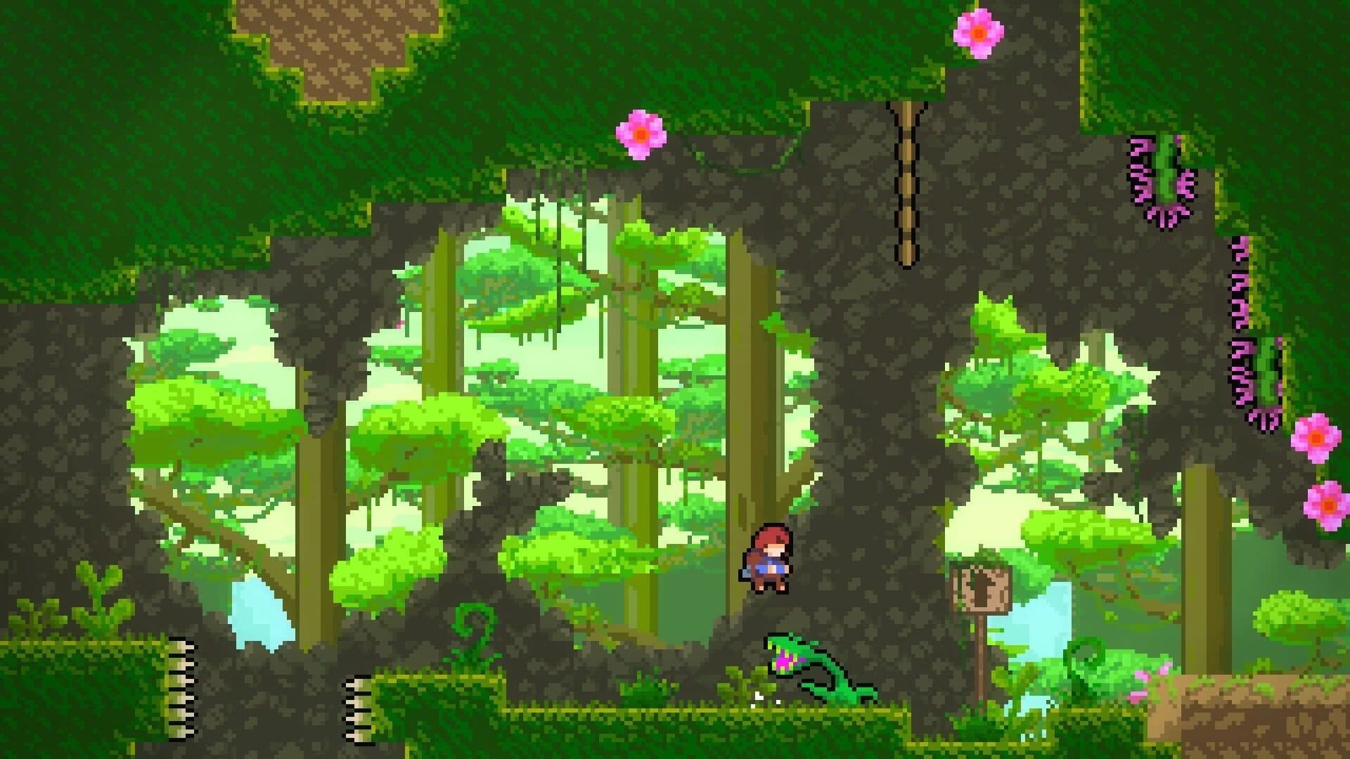 Celeste: Into The Jungle screenshot 1