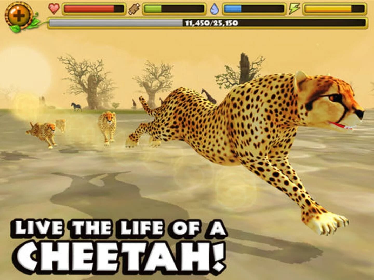 Cheetah Simulator screenshot 5