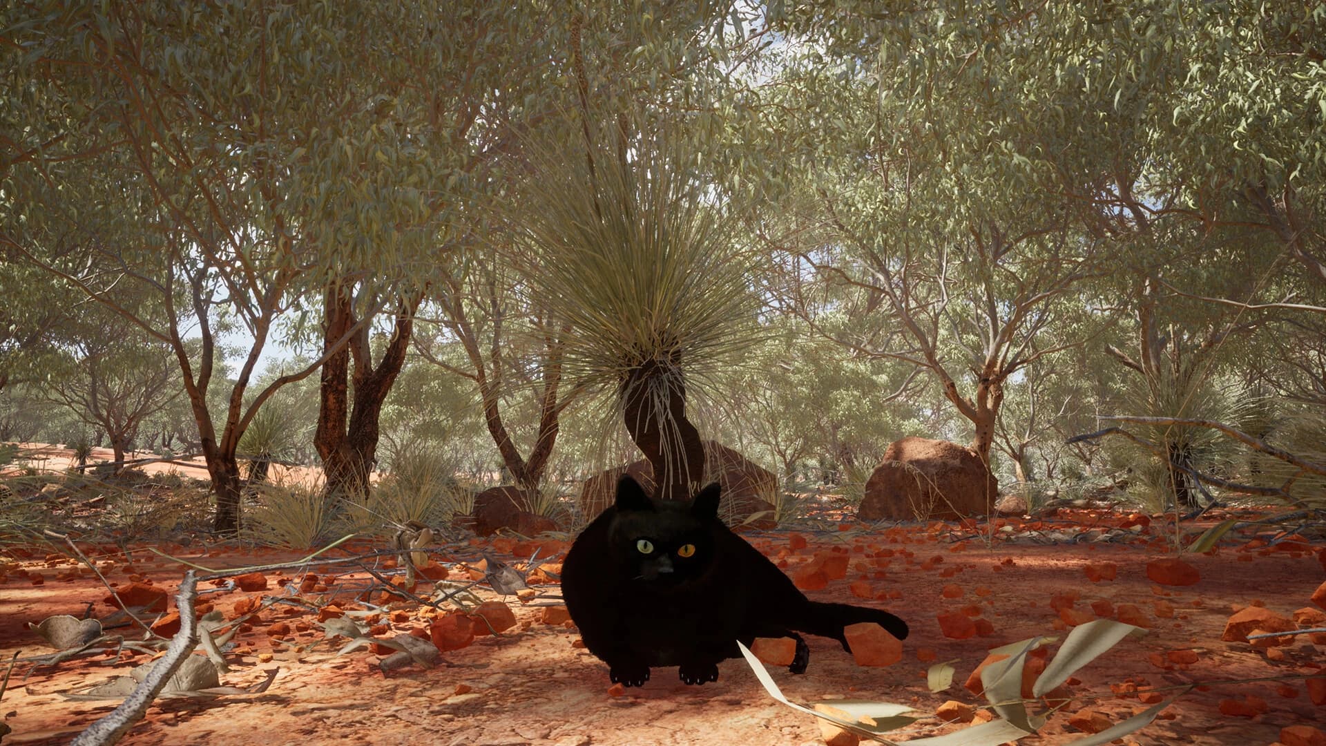 Chonky Cat screenshot 4