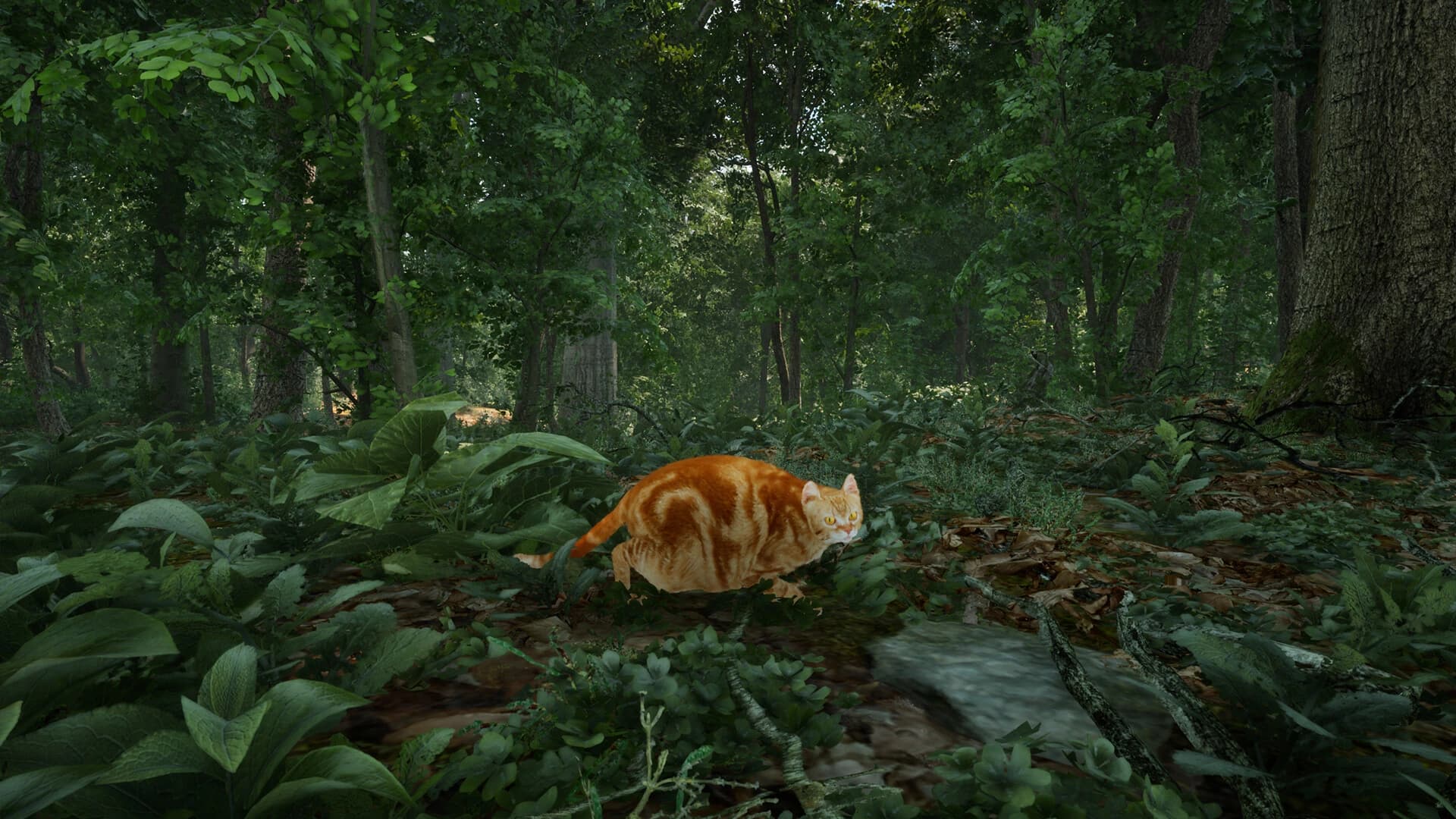 Chonky Cat screenshot 6