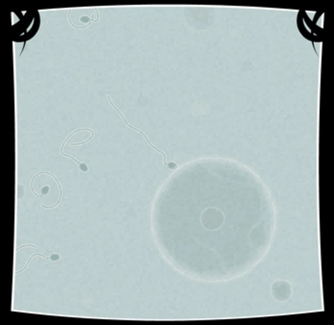 Coil screenshot 4