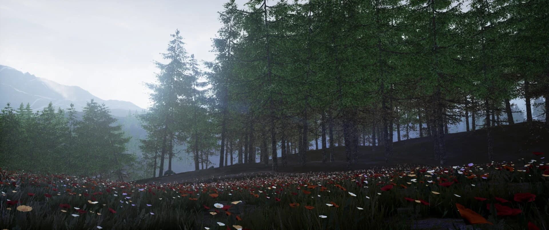 Conclusion screenshot 2