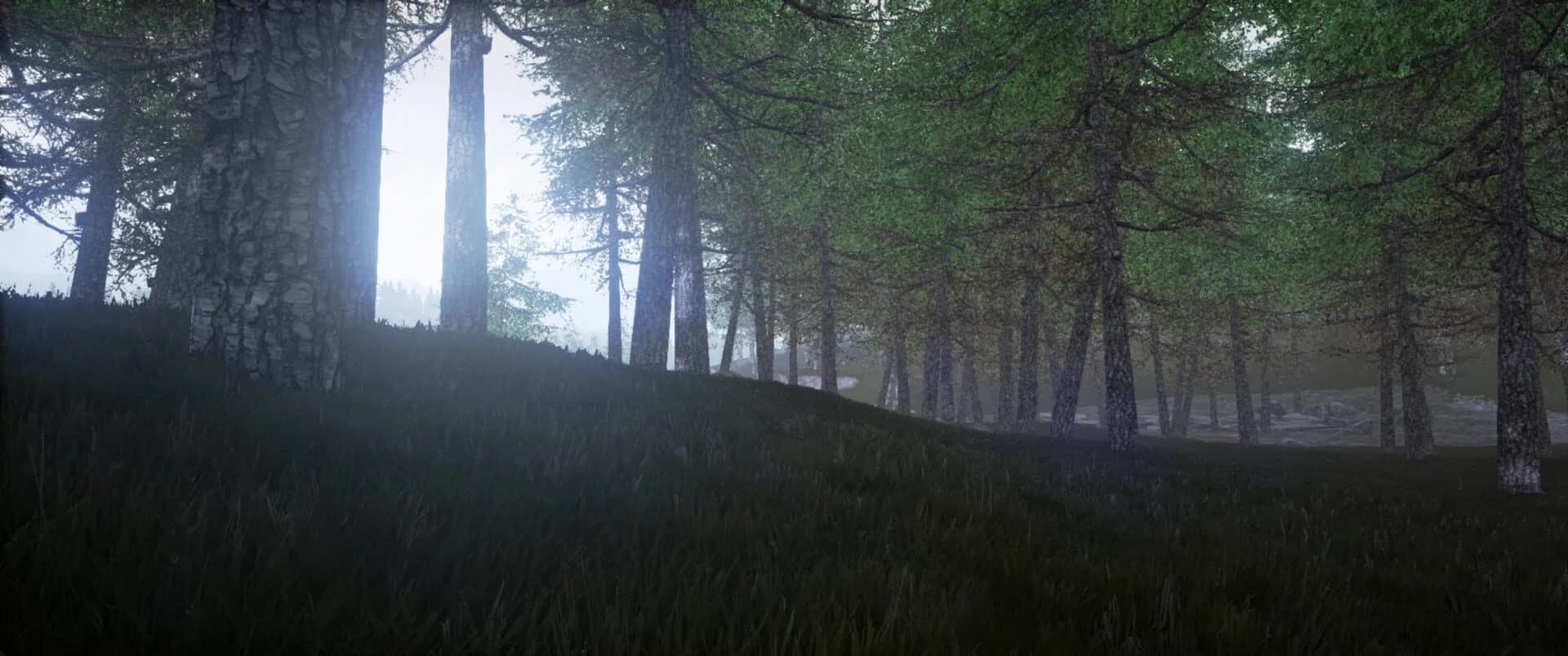 Conclusion screenshot 1