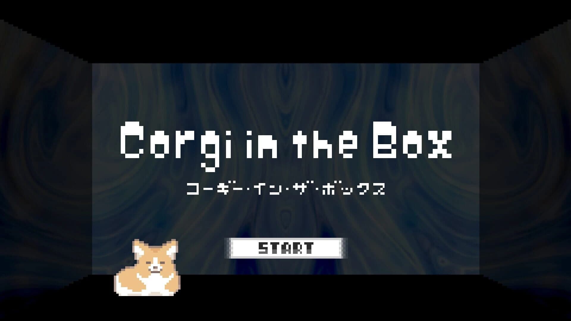 Corgi in the Box screenshot 3