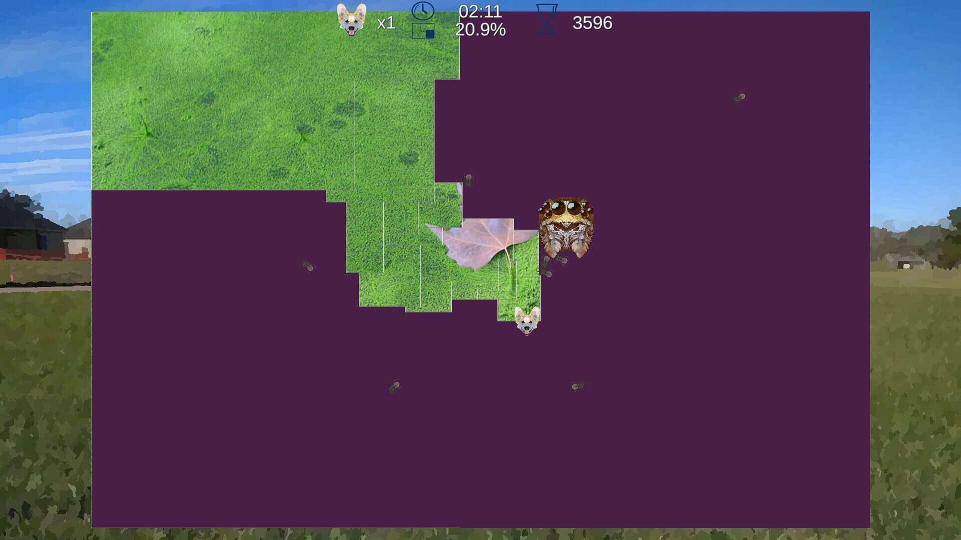 Corgix screenshot 3