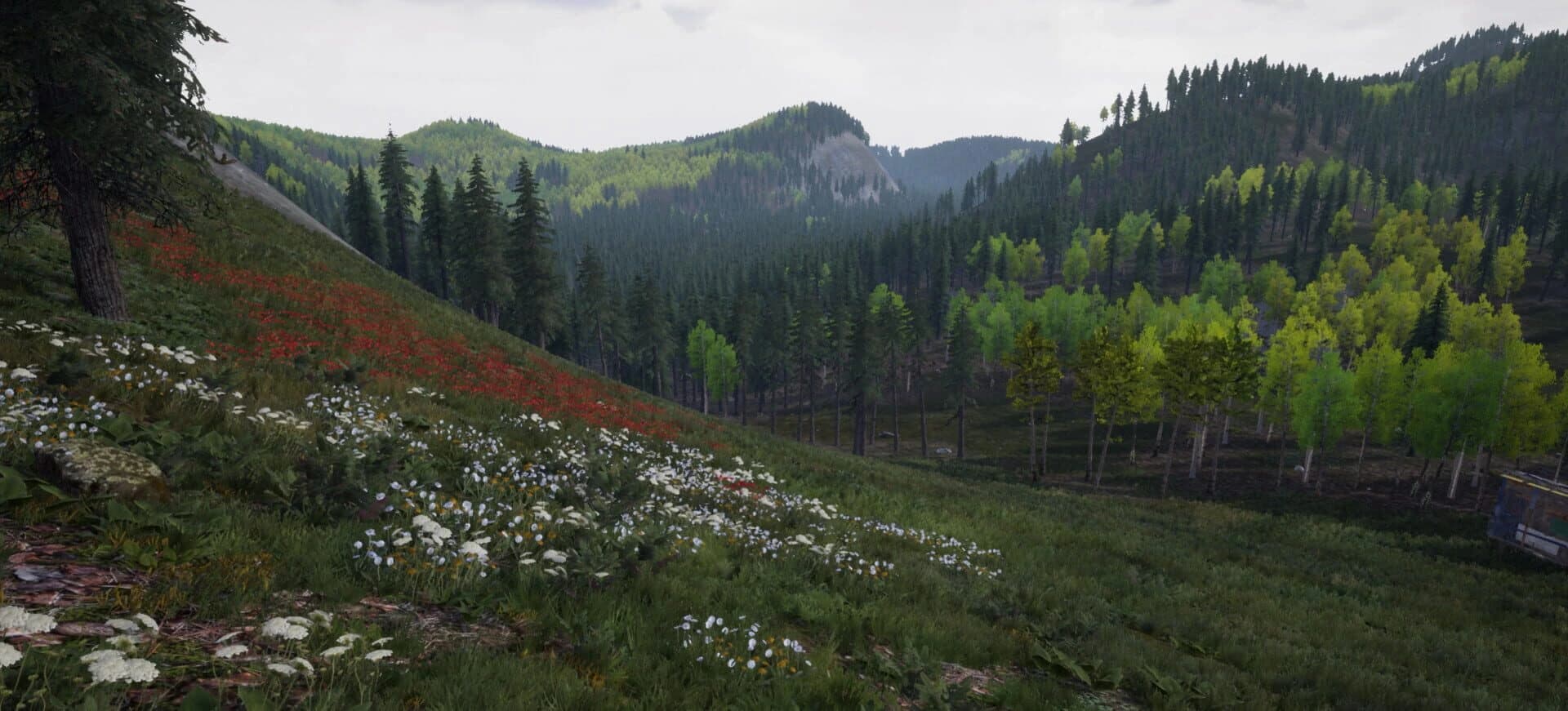 Corma screenshot 2
