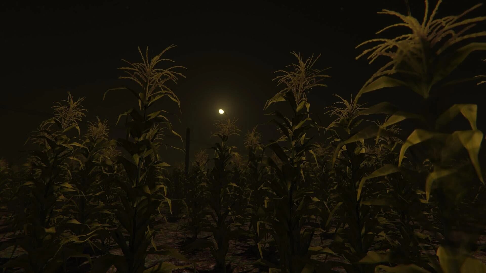 Cornfield screenshot 2