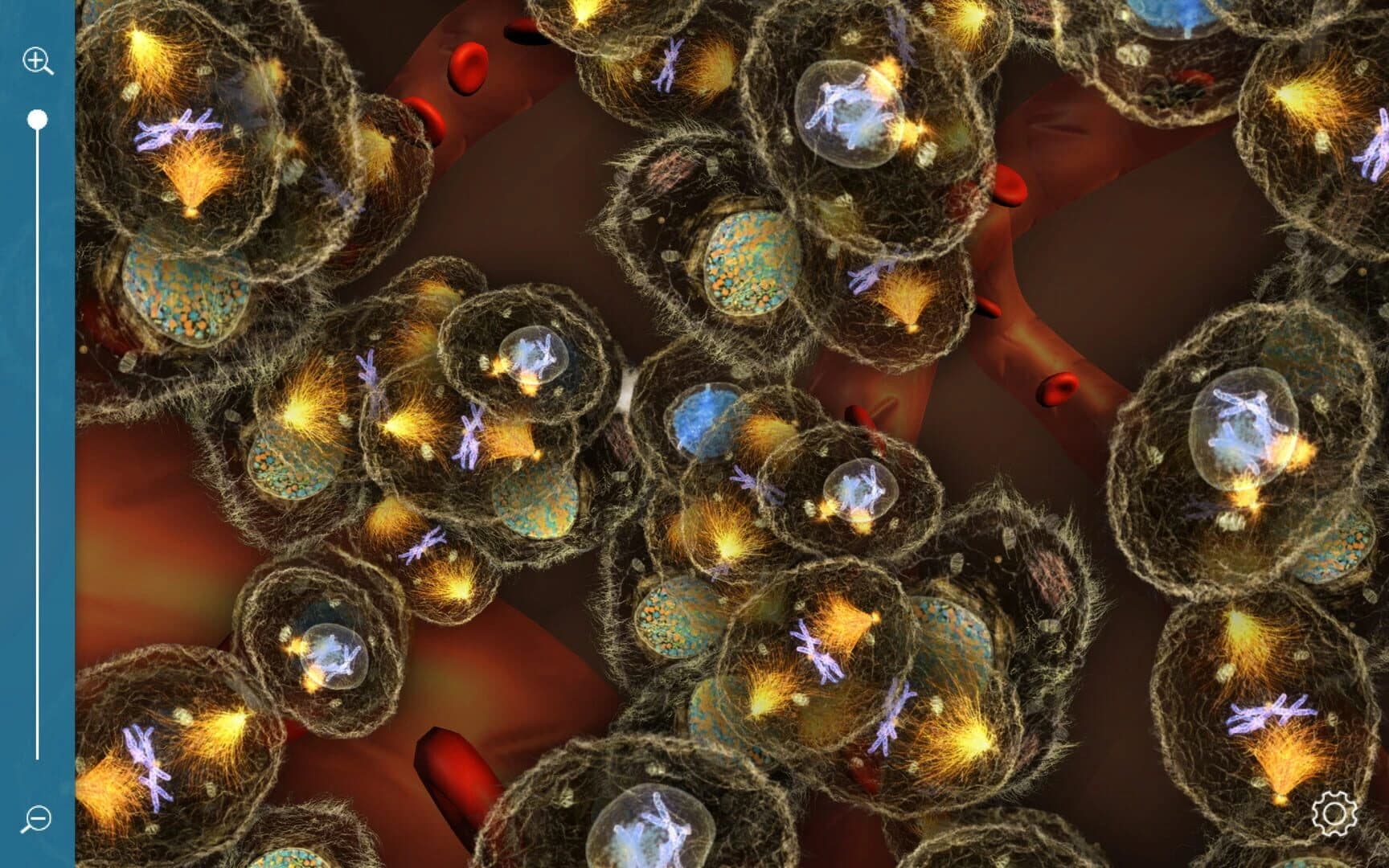 Cosm screenshot 3