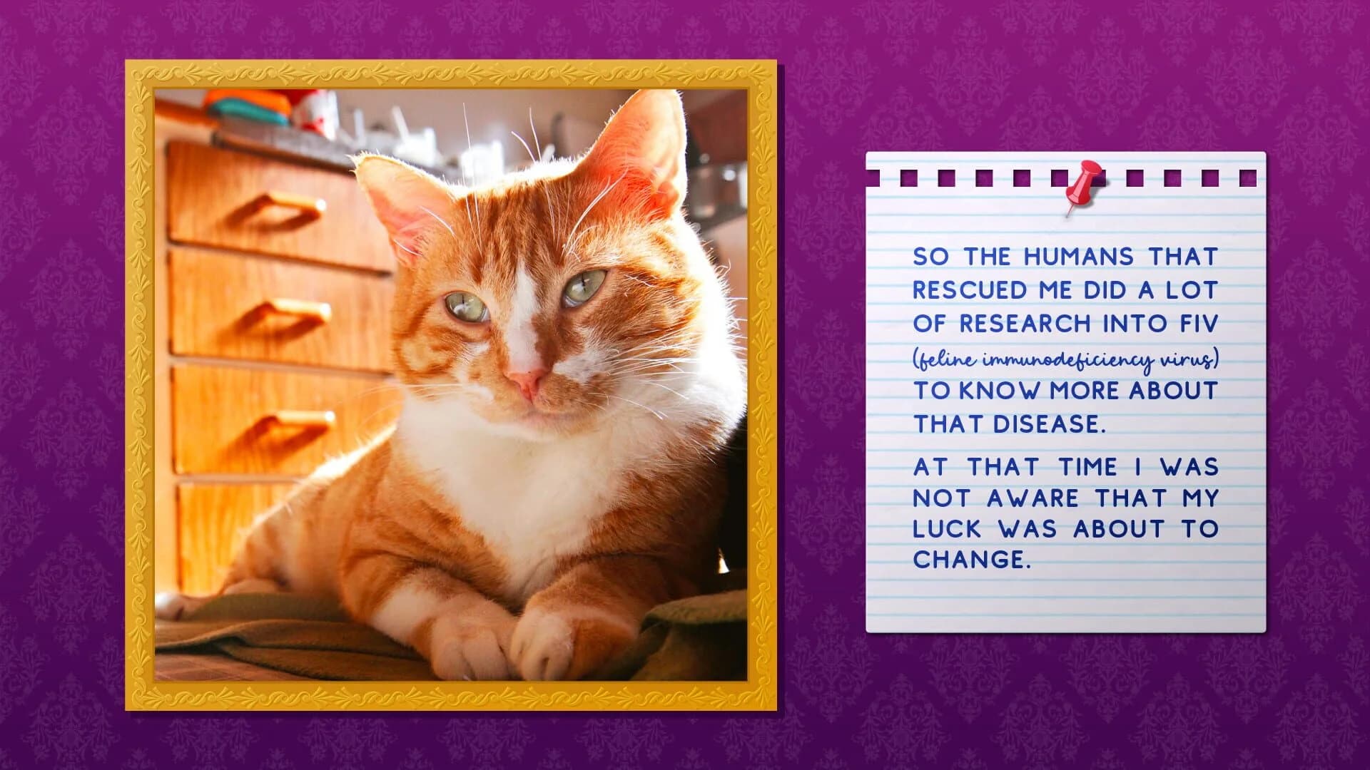 Cozy Room screenshot 4