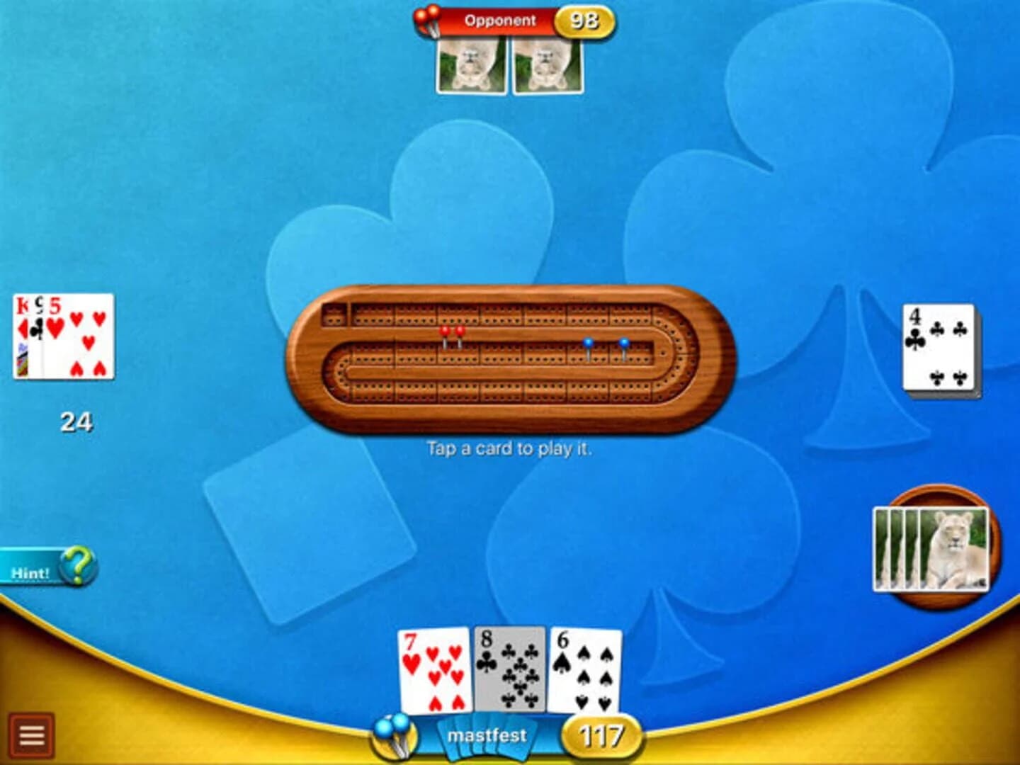 Cribbage Premium screenshot 3