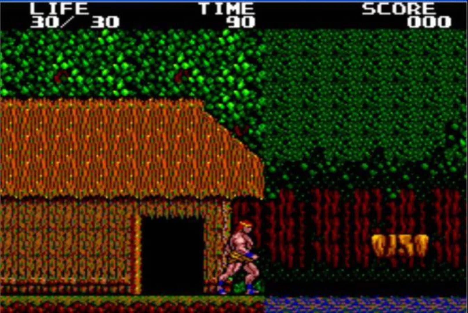 Danan: The Jungle Fighter screenshot 2